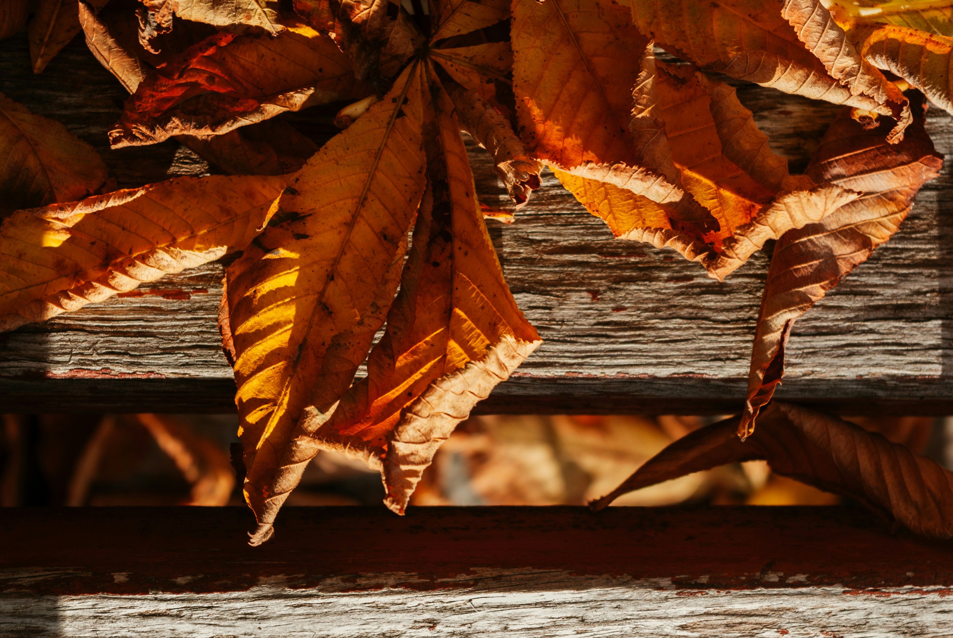 Photo by moonmoons_days