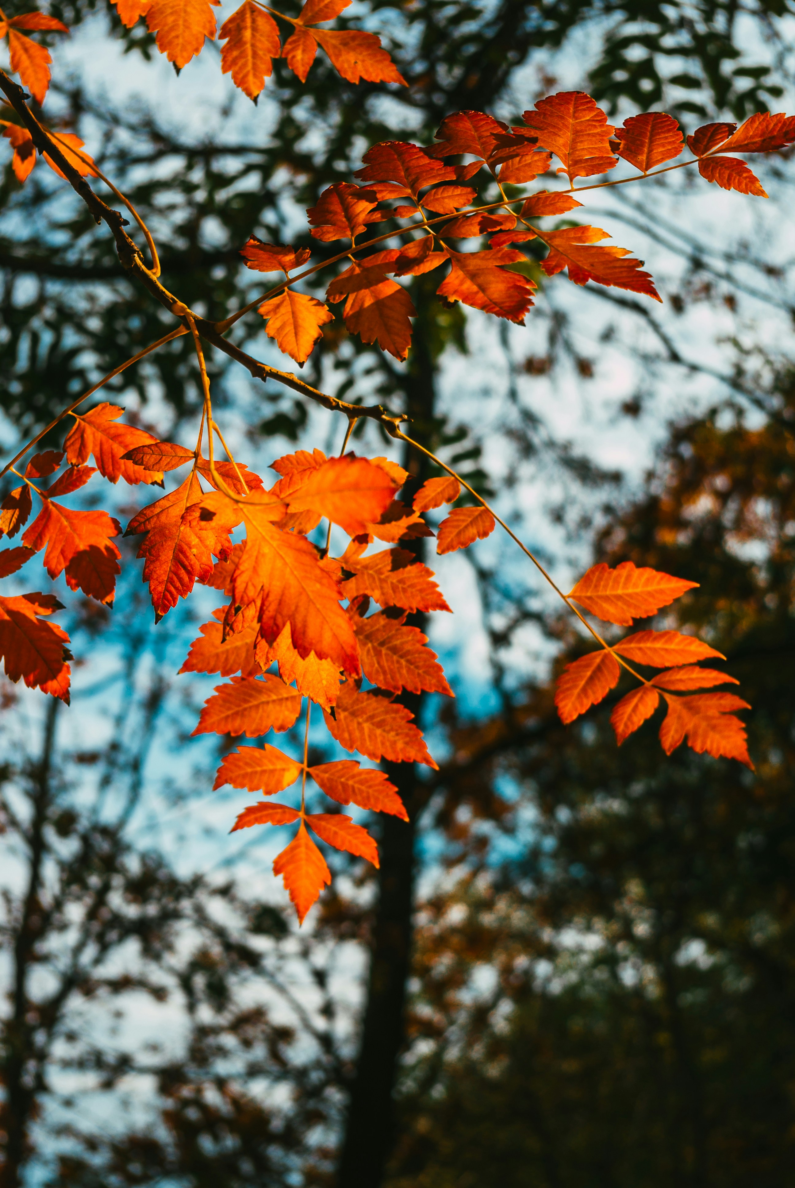 Photo by moonmoons_days