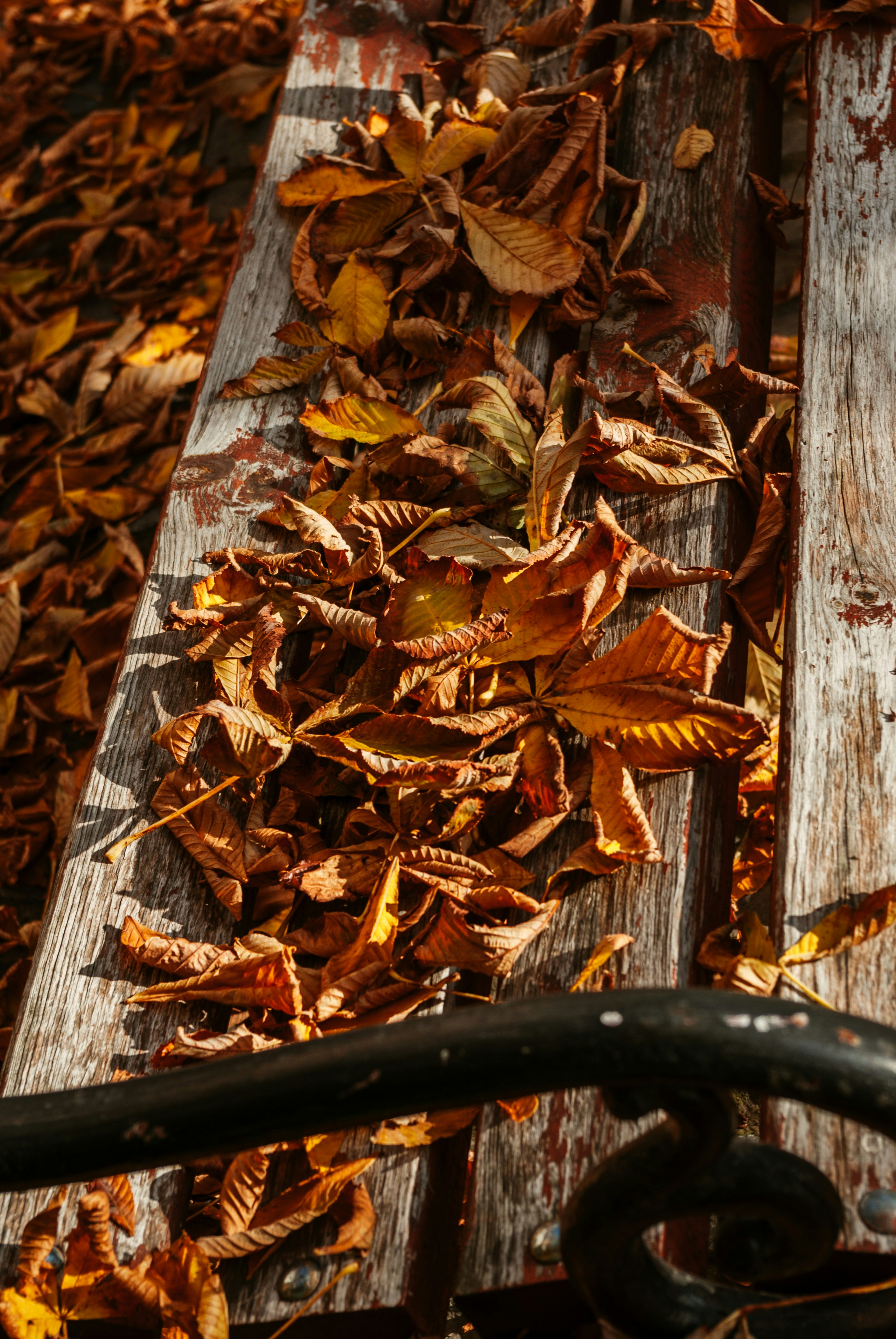 Photo by moonmoons_days