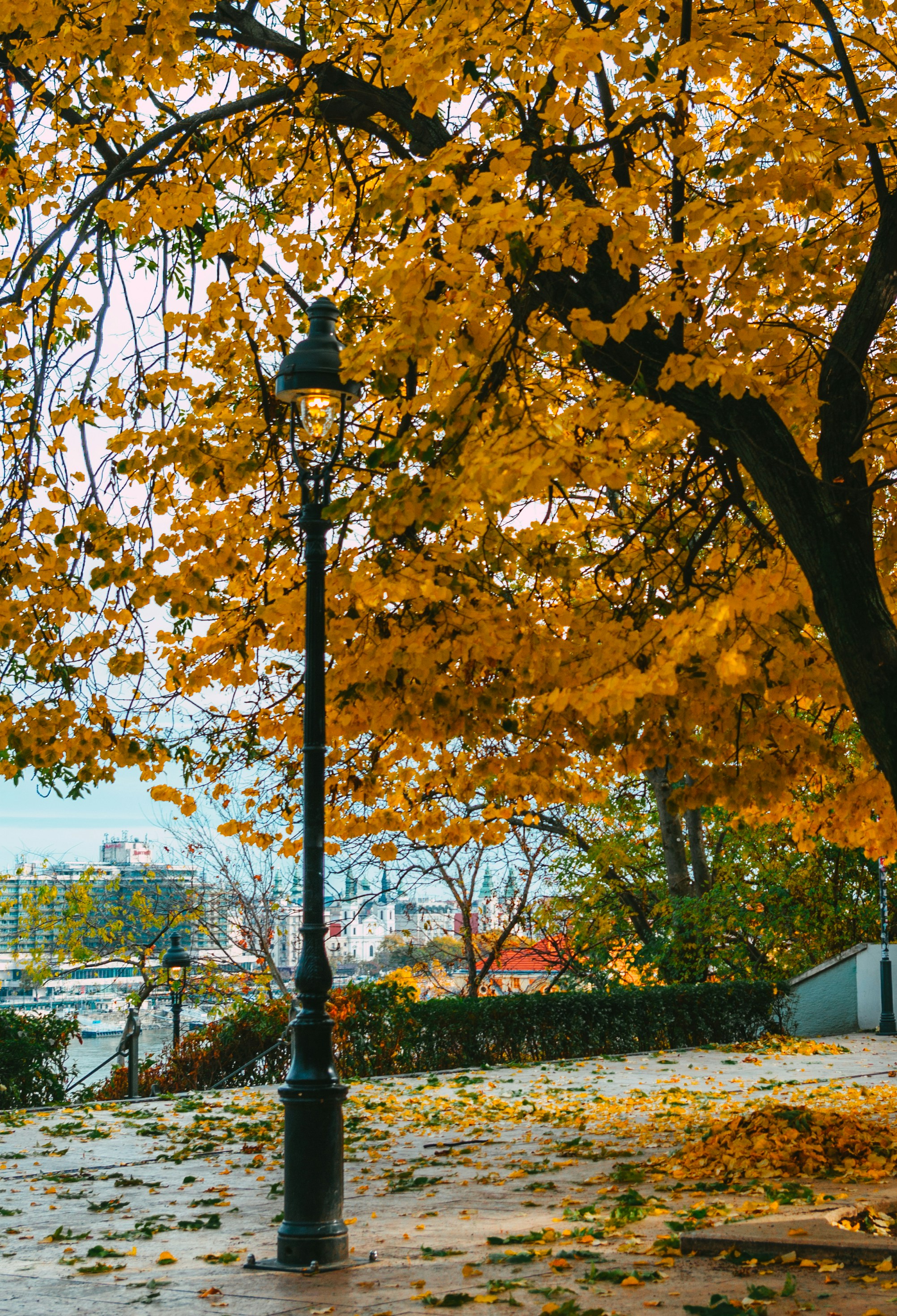 Photo by moonmoons_days