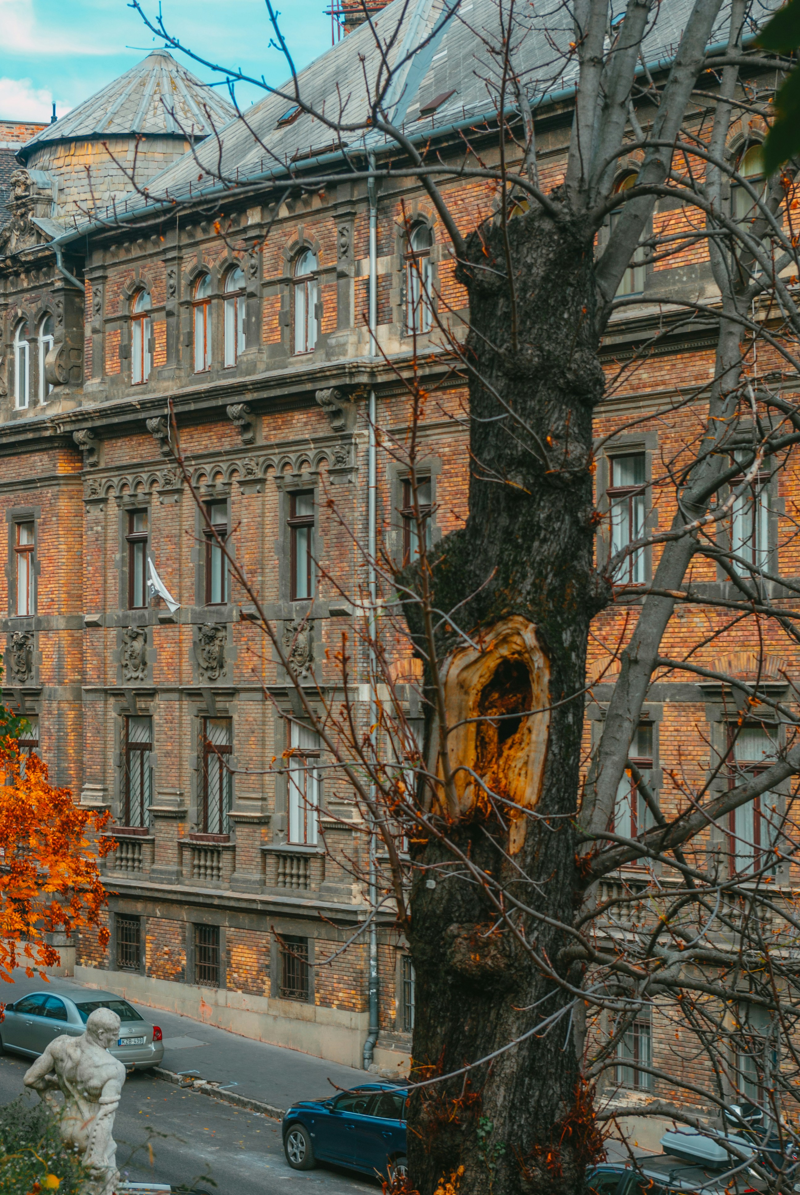 Photo by moonmoons_days