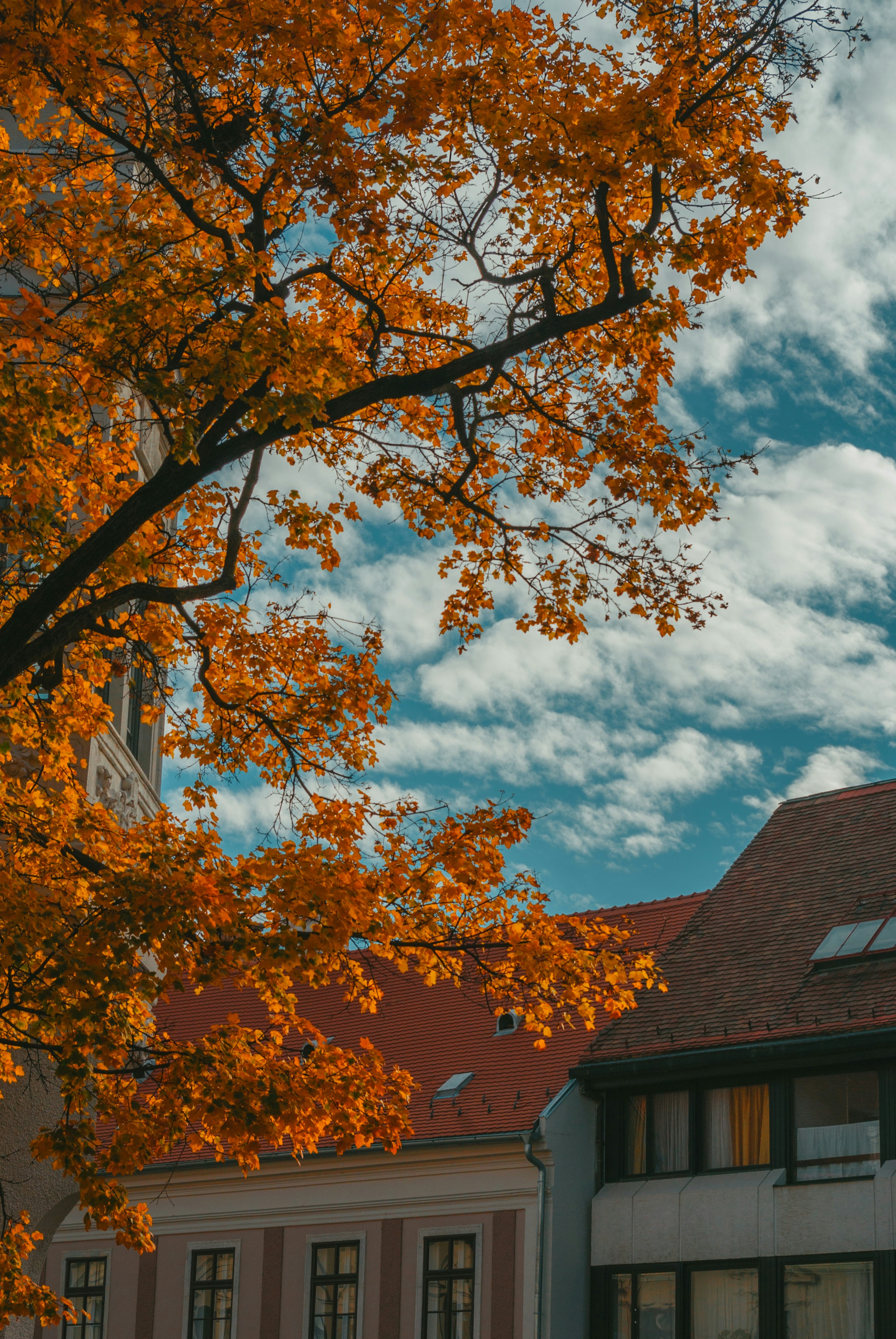 Photo by moonmoons_days