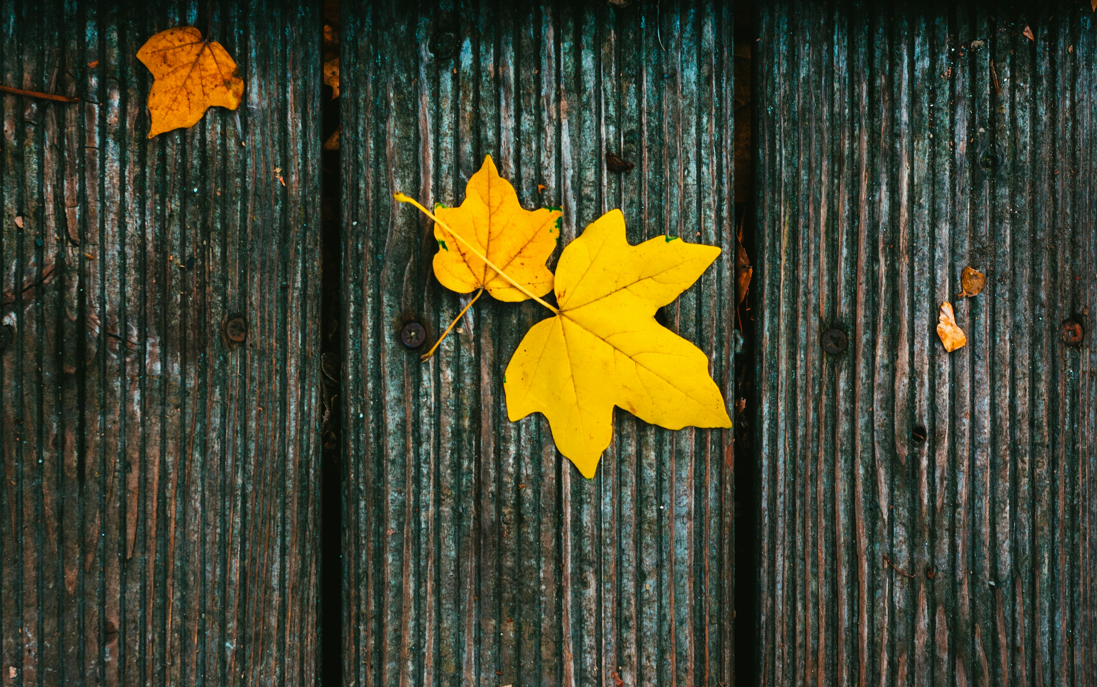 Photo by moonmoons_days