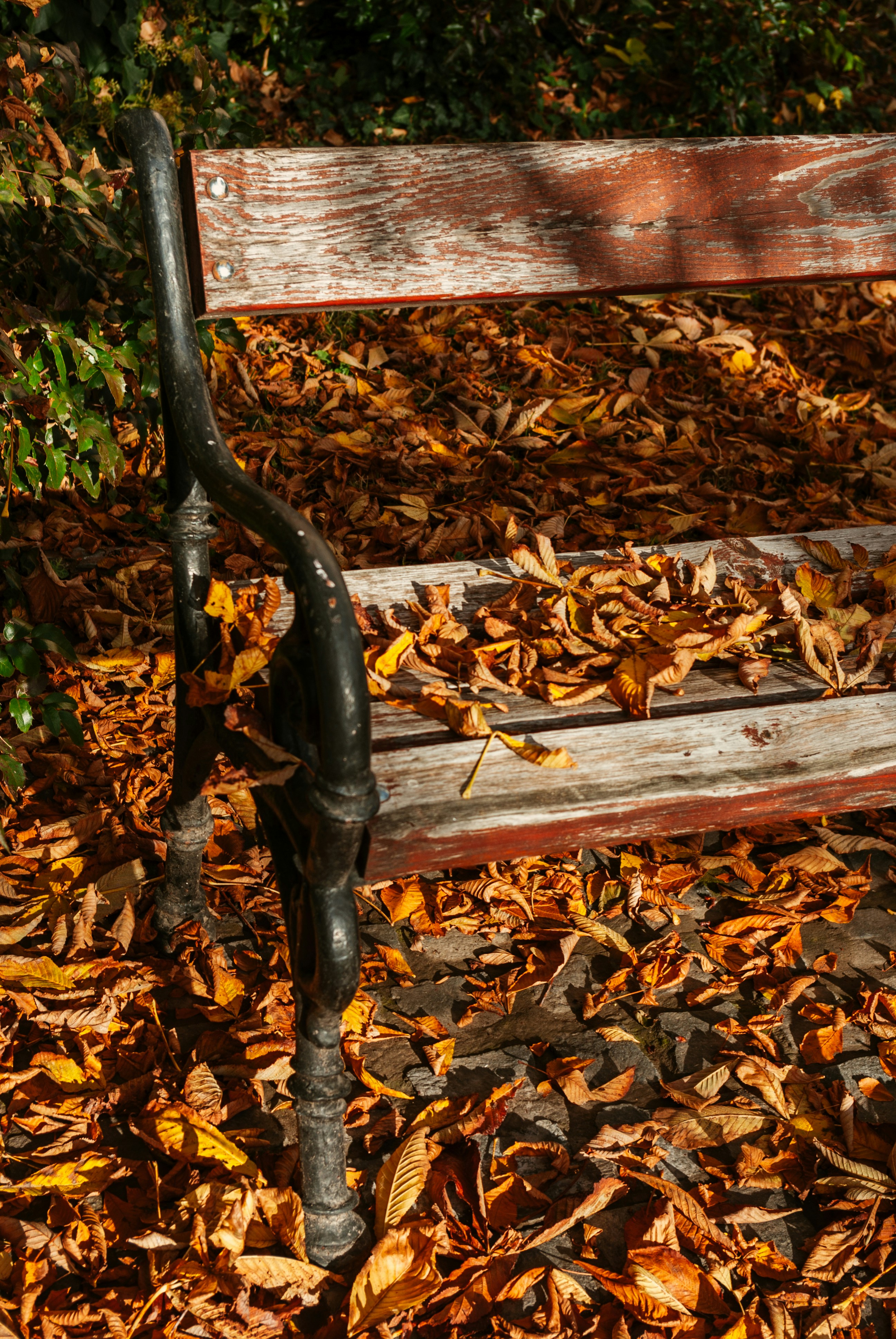 Photo by moonmoons_days