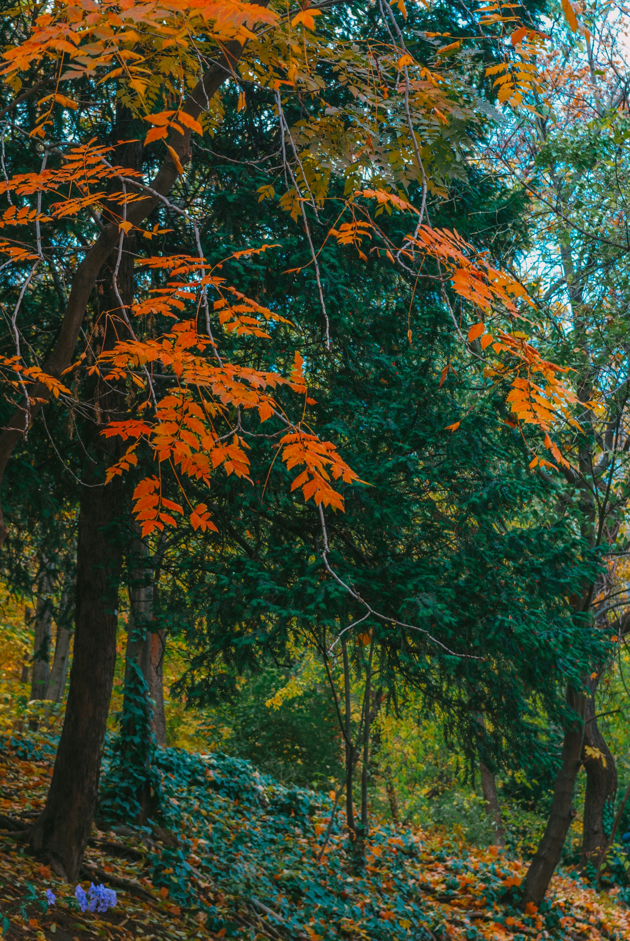 Photo by moonmoons_days