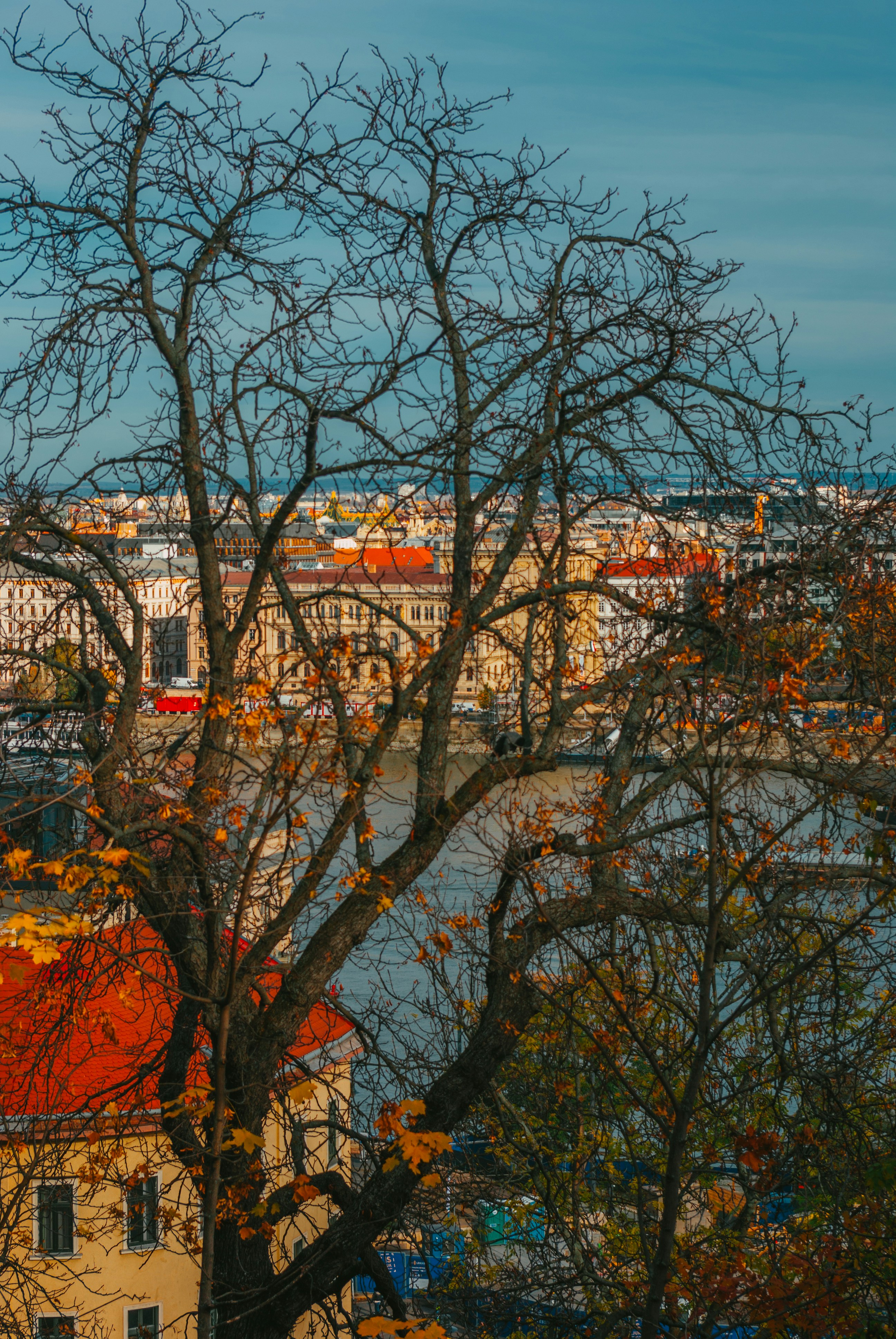 Photo by moonmoons_days