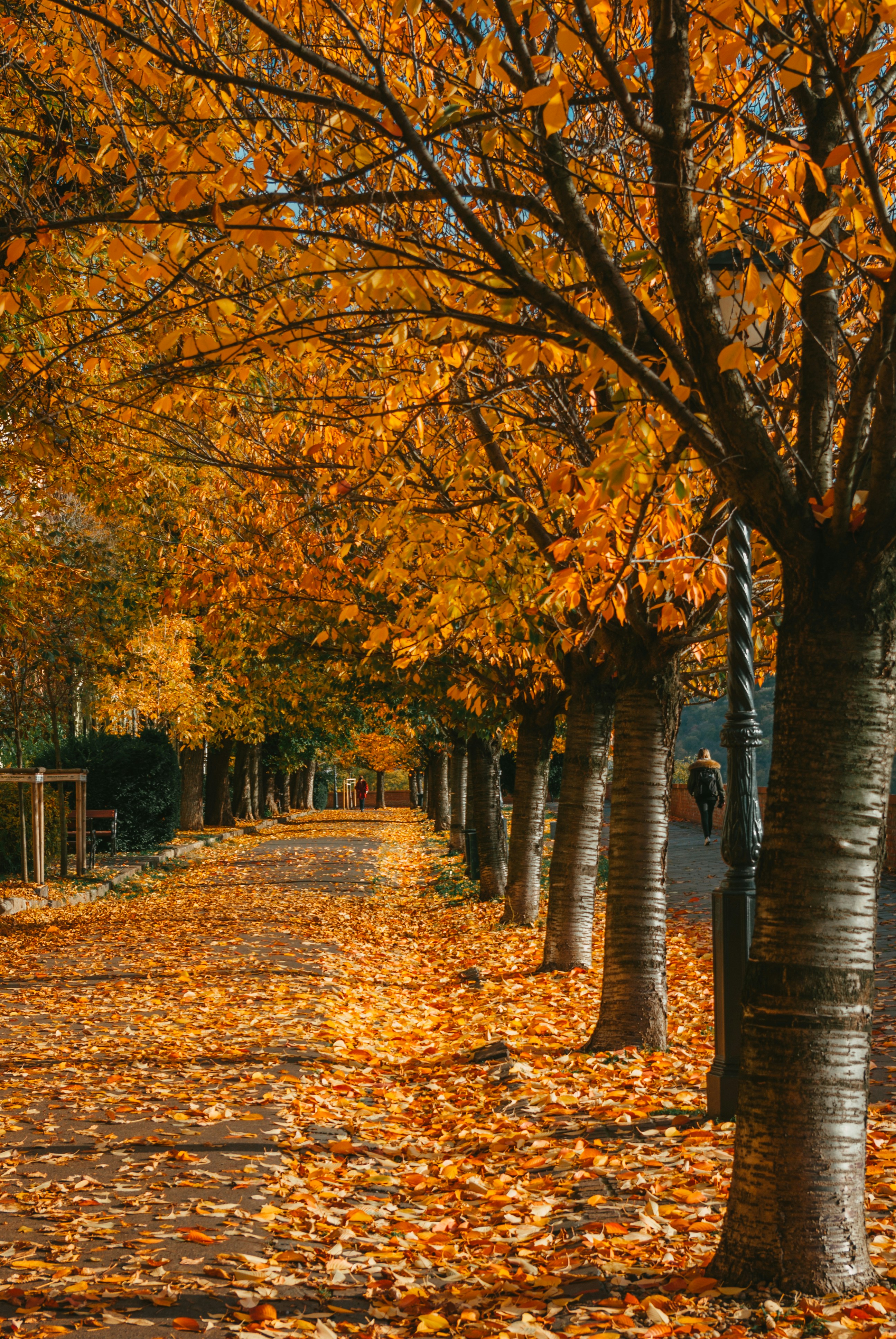 Photo by moonmoons_days