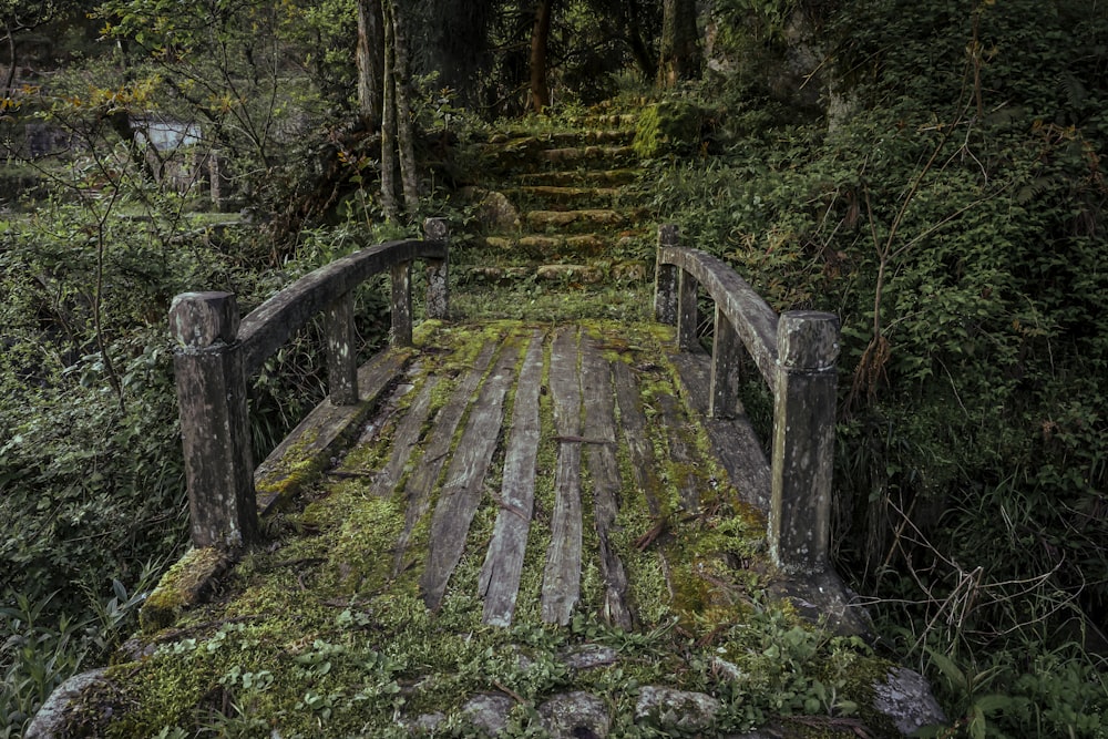 a wooden bridge with moss growing on it