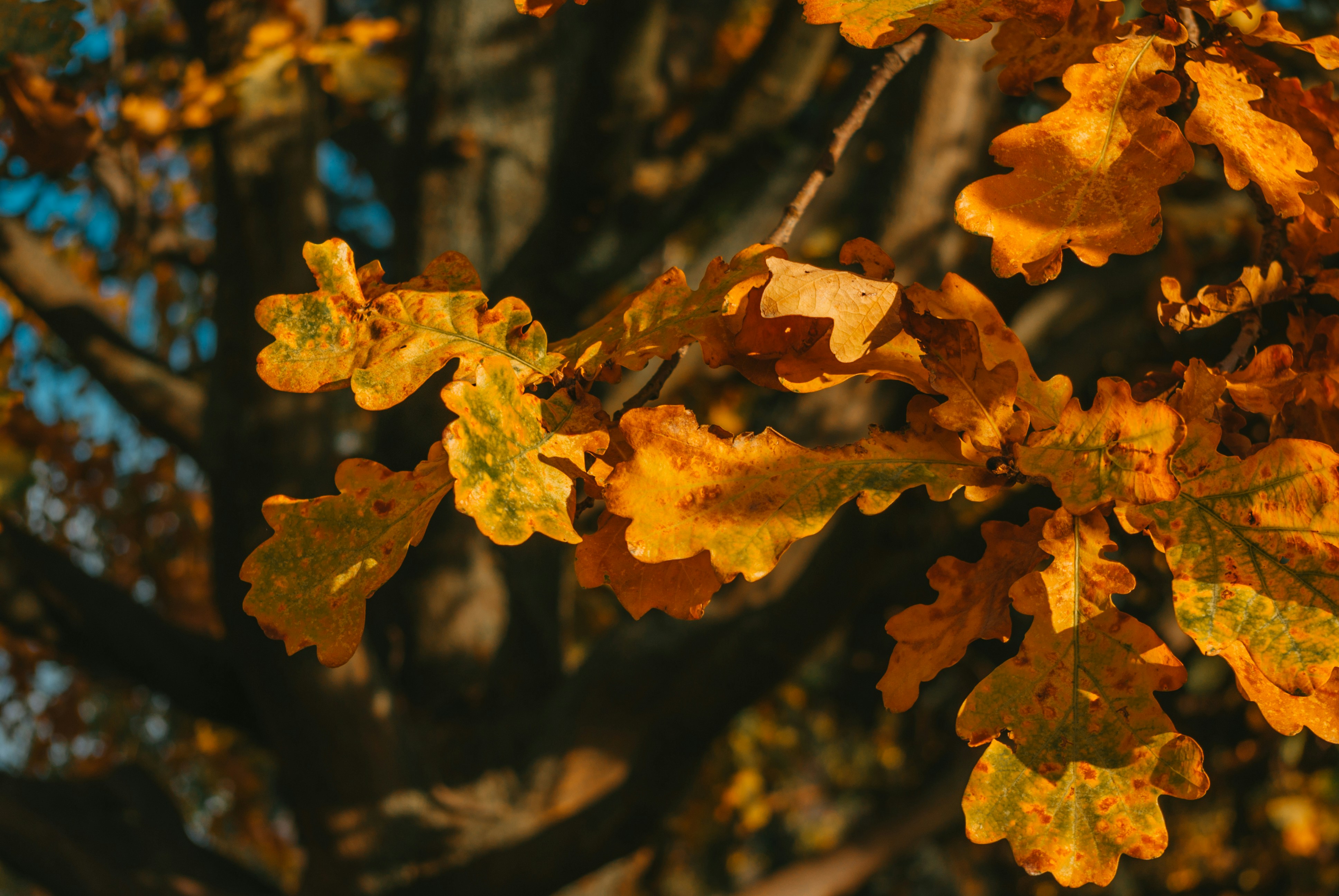 Photo by moonmoons_days