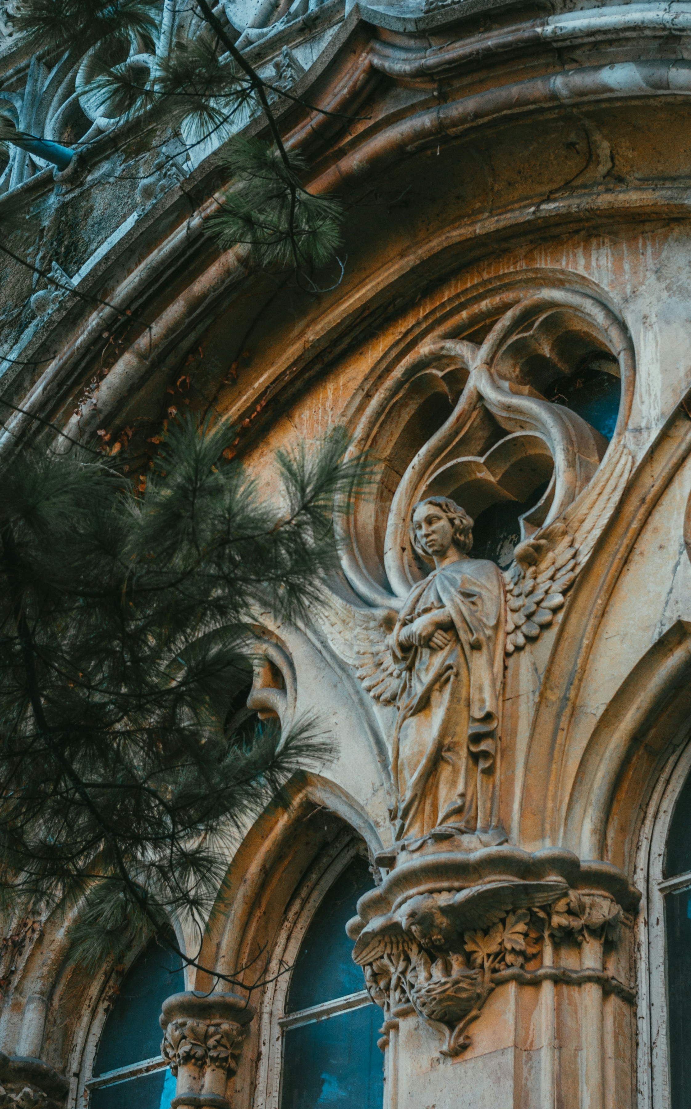 Photo by moonmoons_days