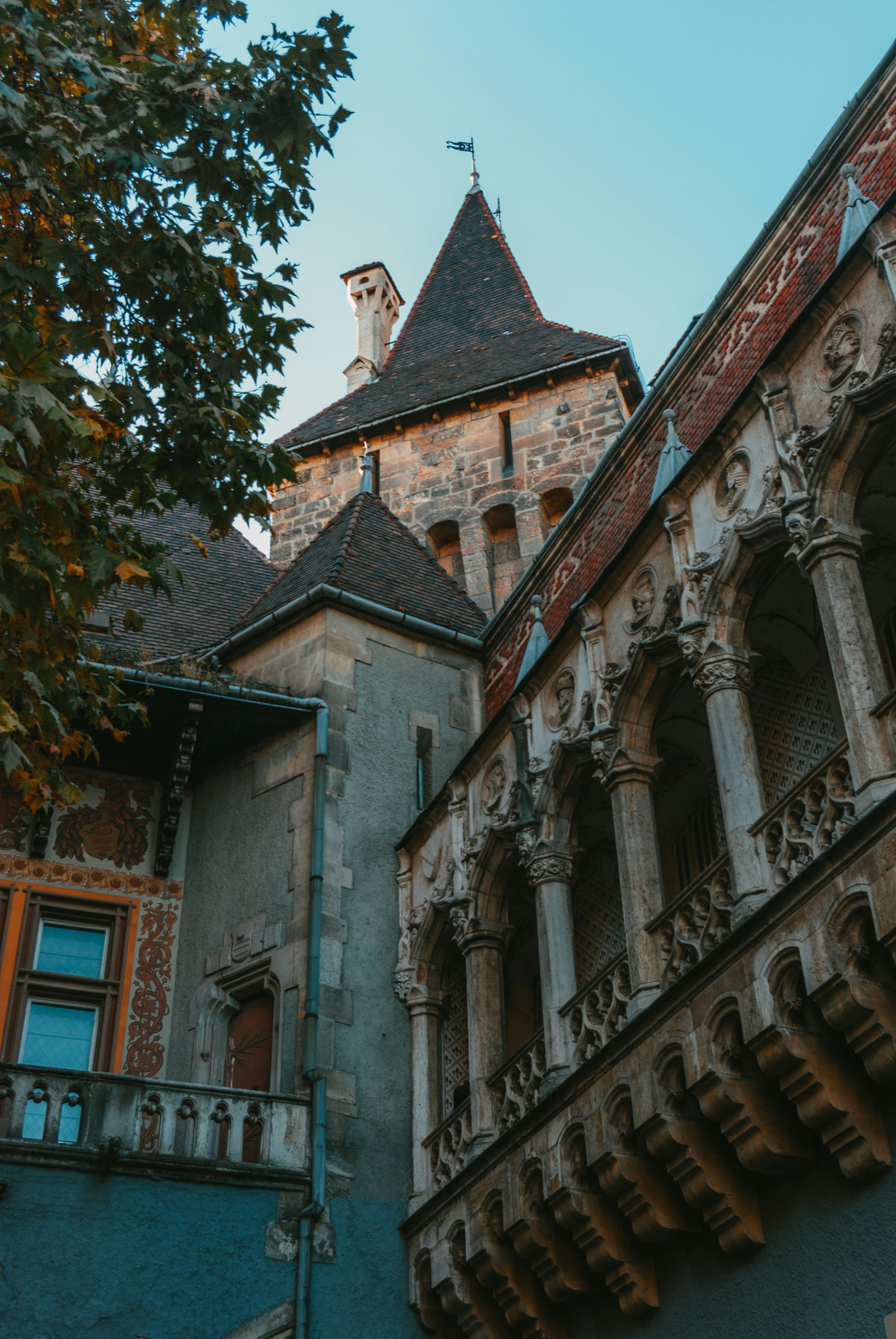 Photo by moonmoons_days