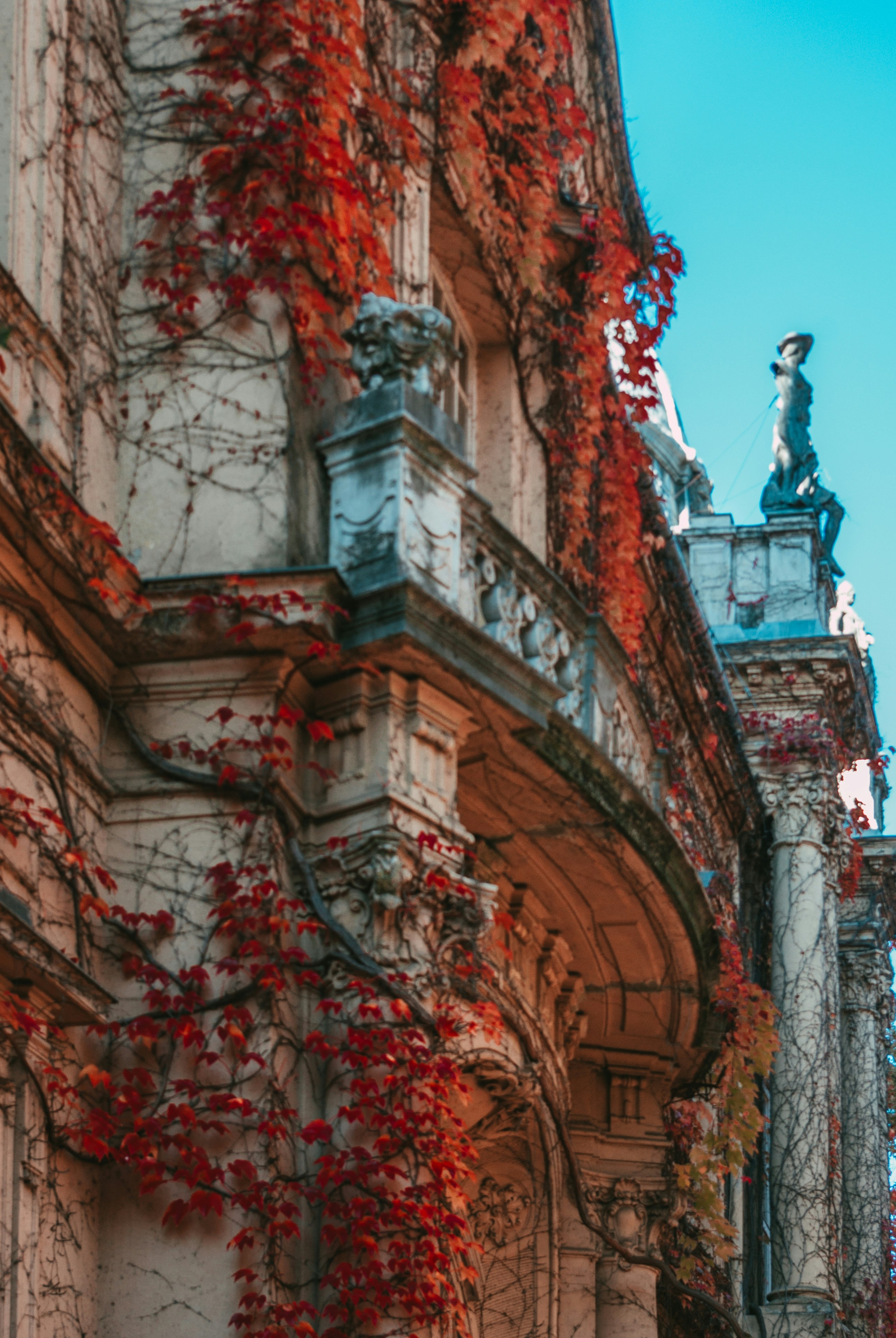 Photo by moonmoons_days