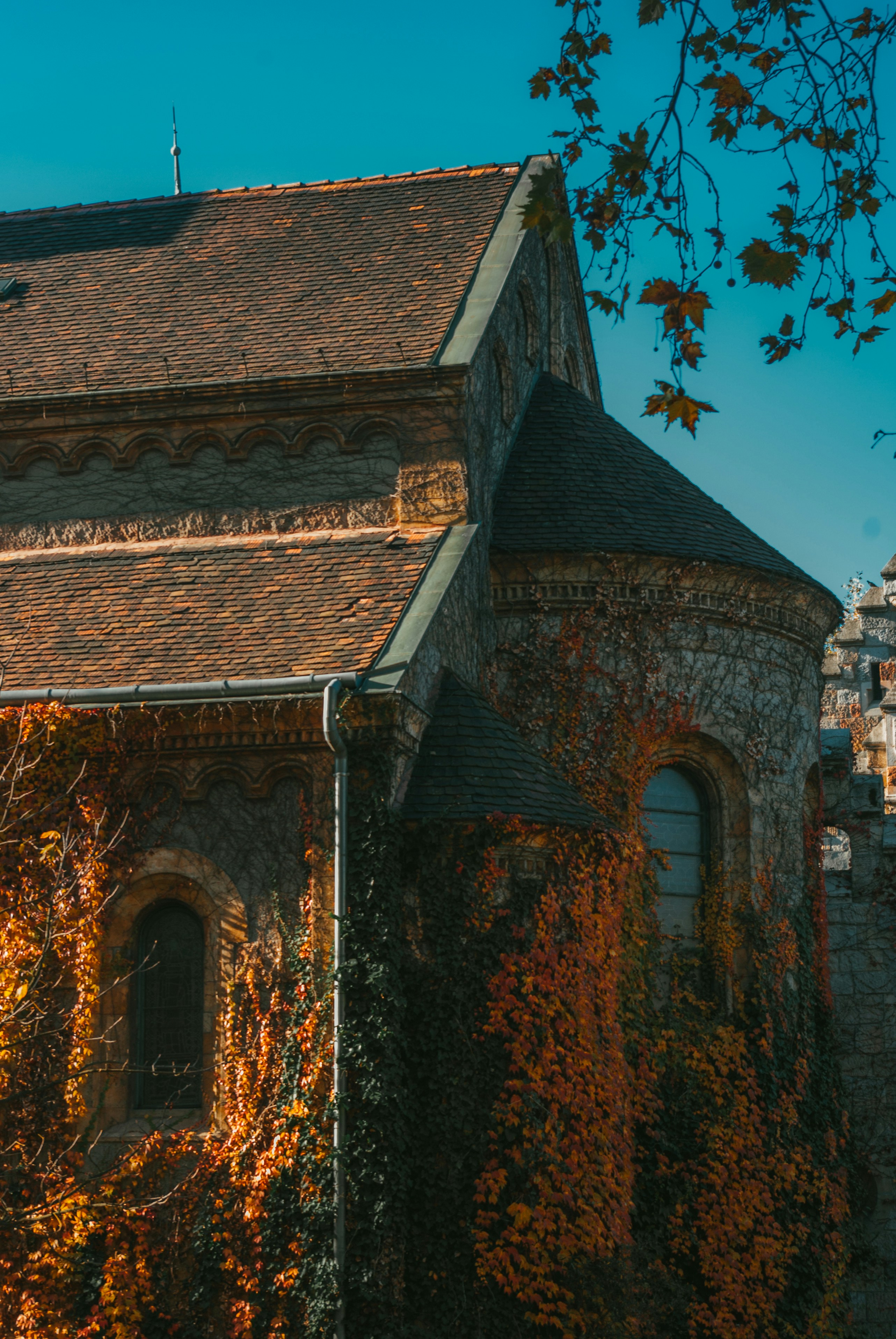 Photo by moonmoons_days