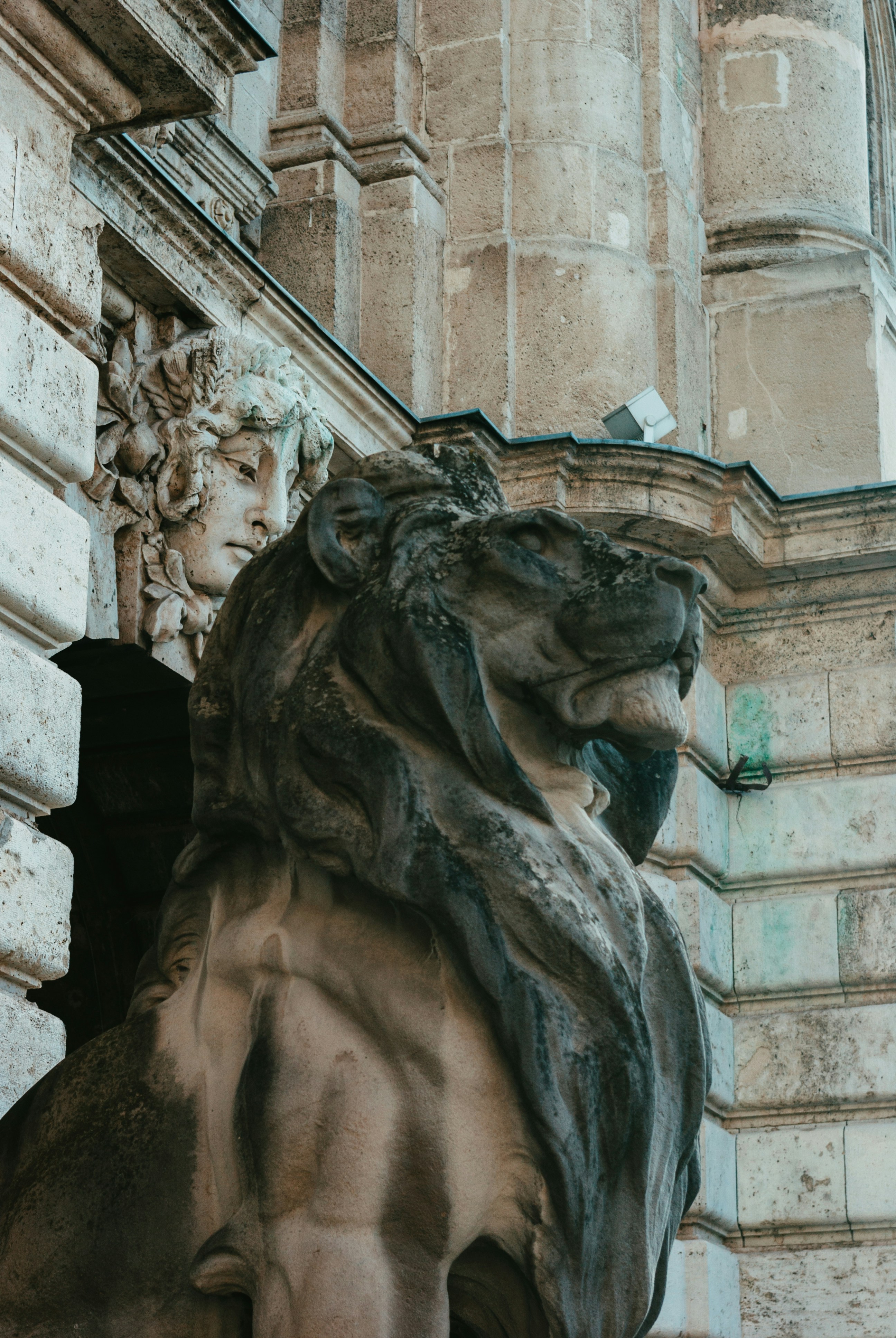 Photo by moonmoons_days