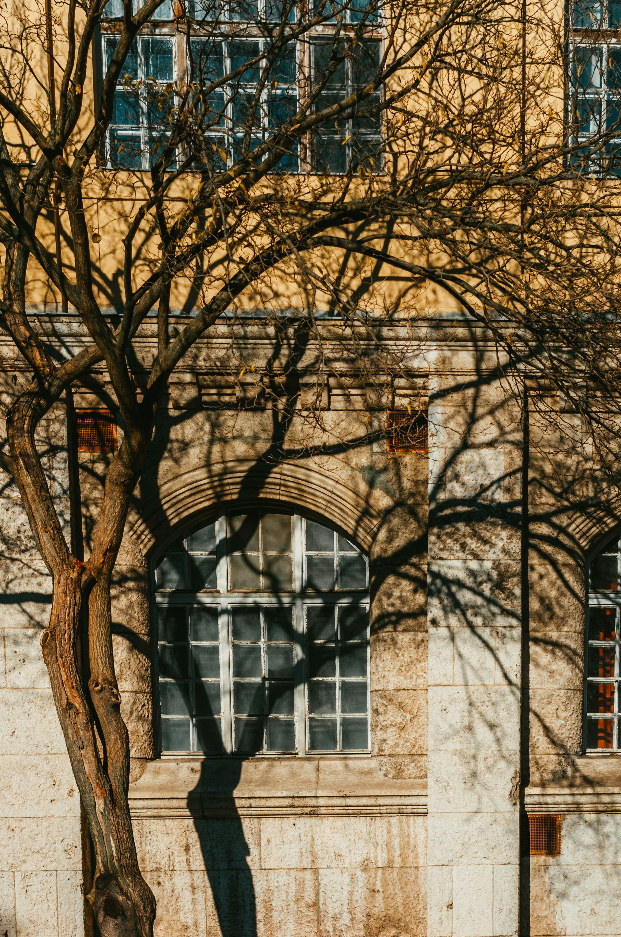 Photo by moonmoons_days