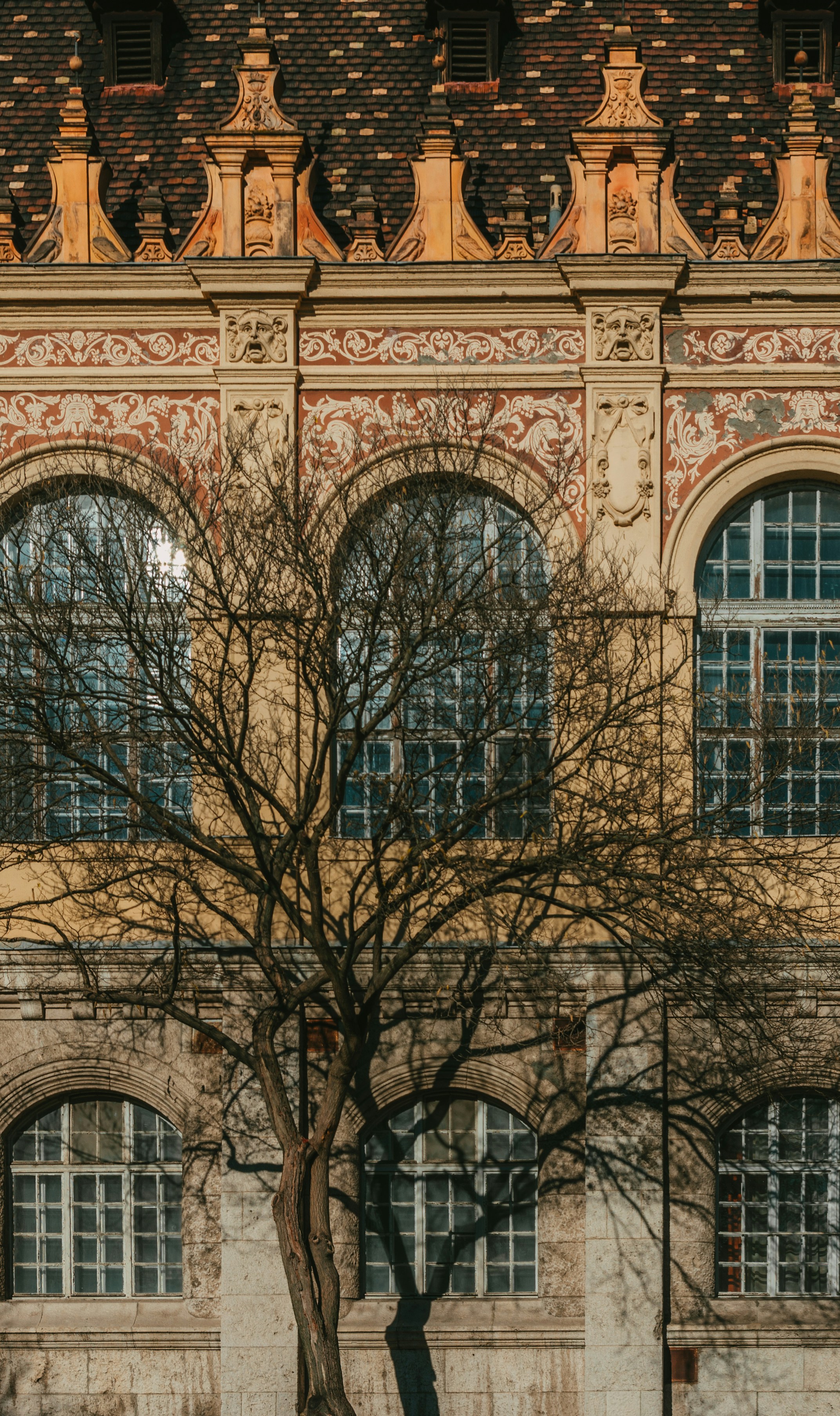 Photo by moonmoons_days