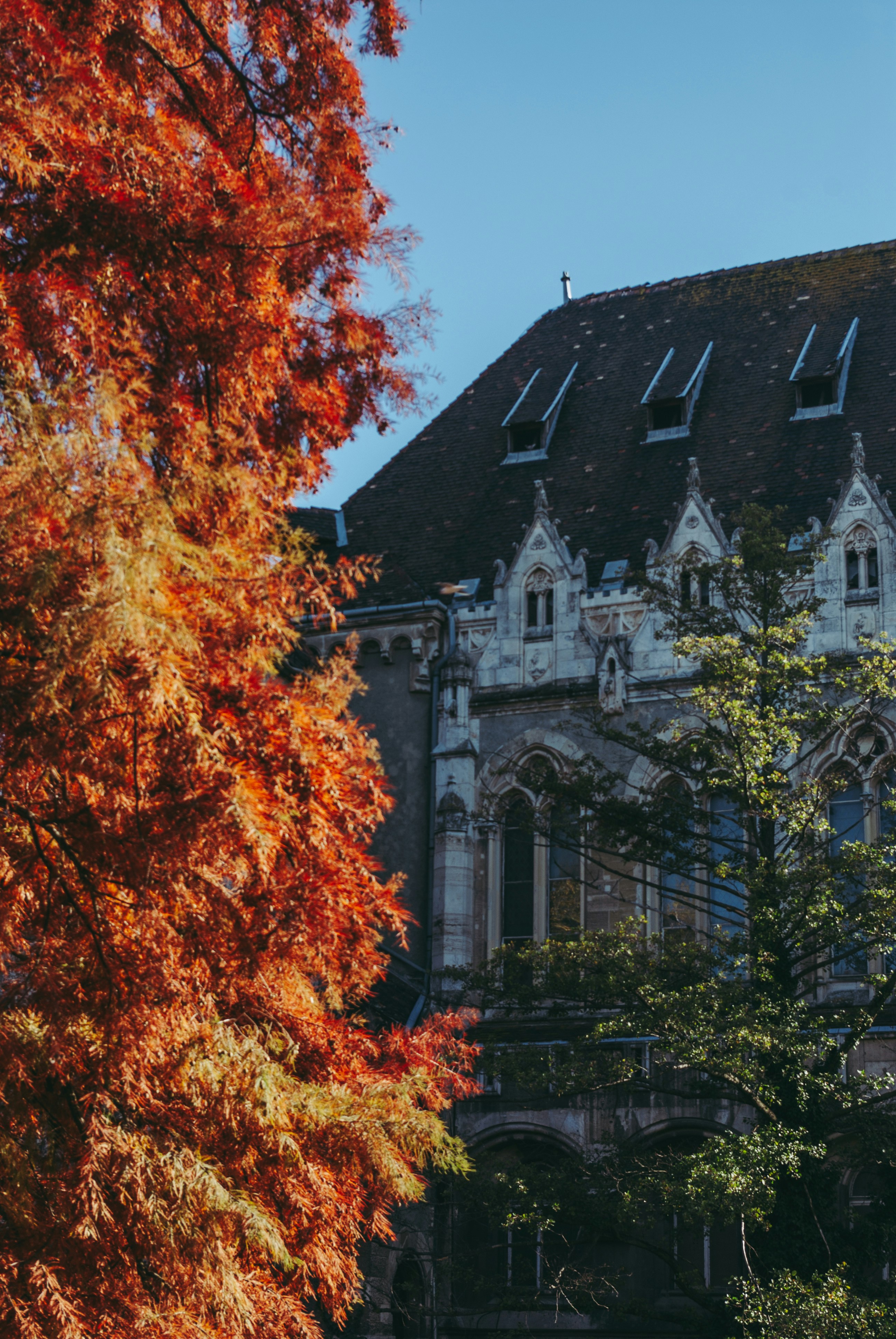 Photo by moonmoons_days