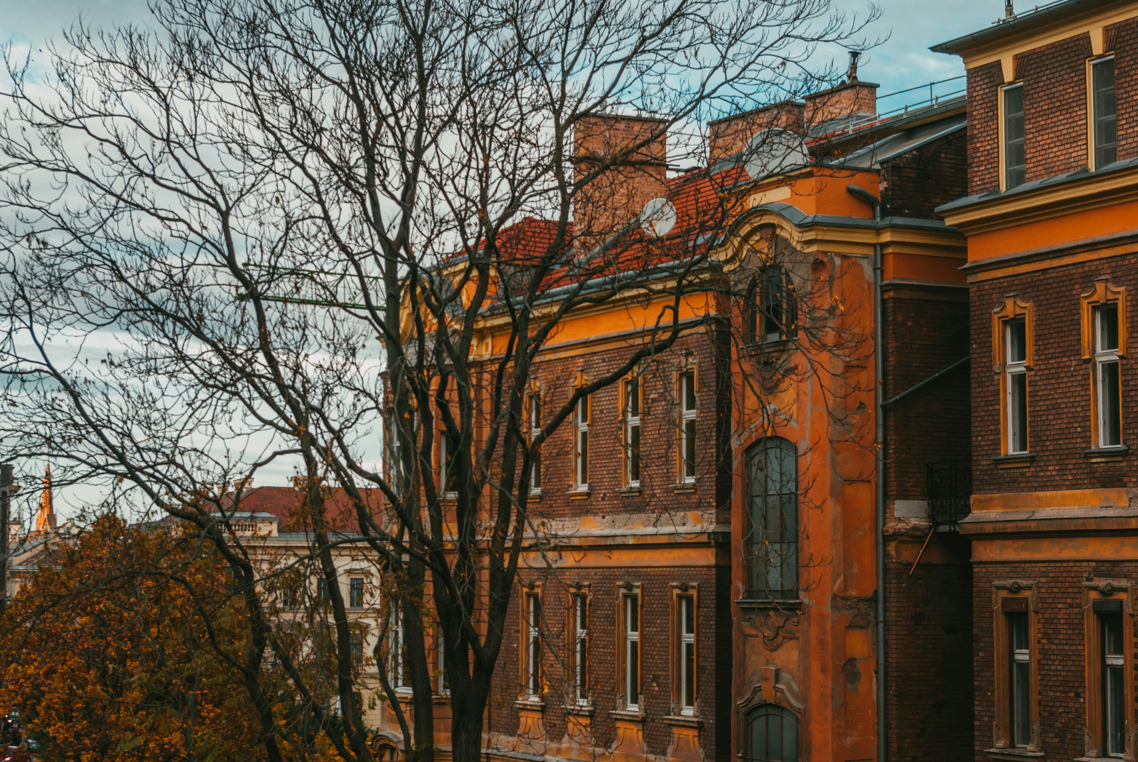 Photo by moonmoons_days