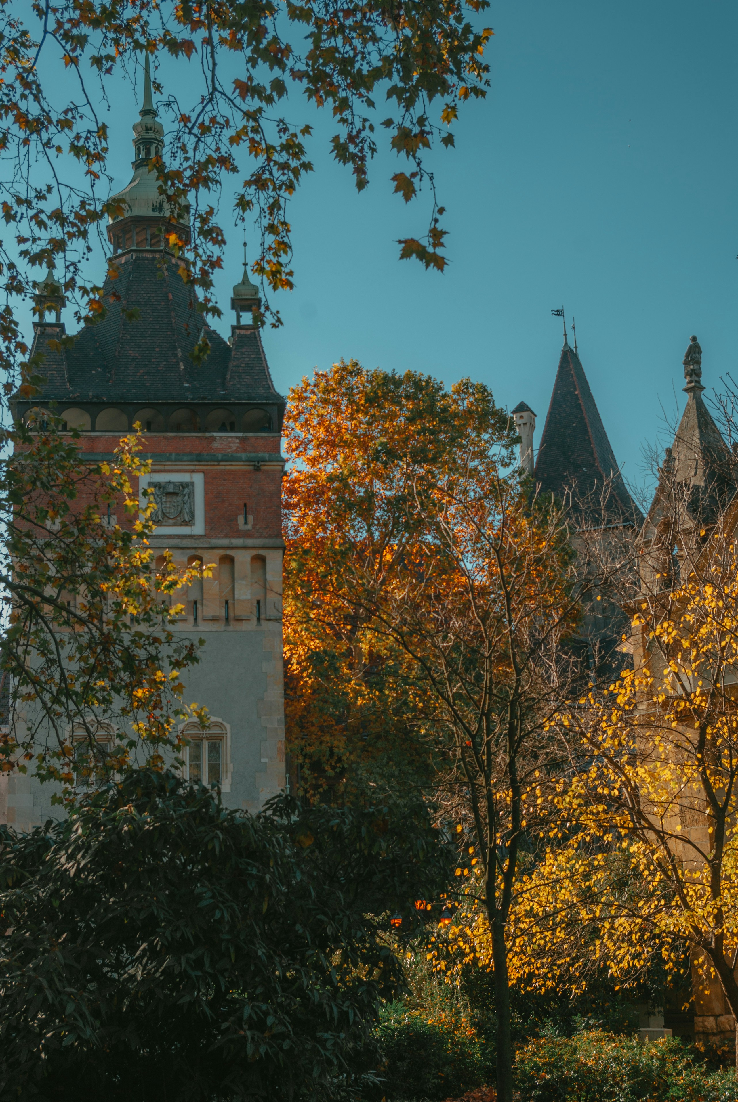 Photo by moonmoons_days