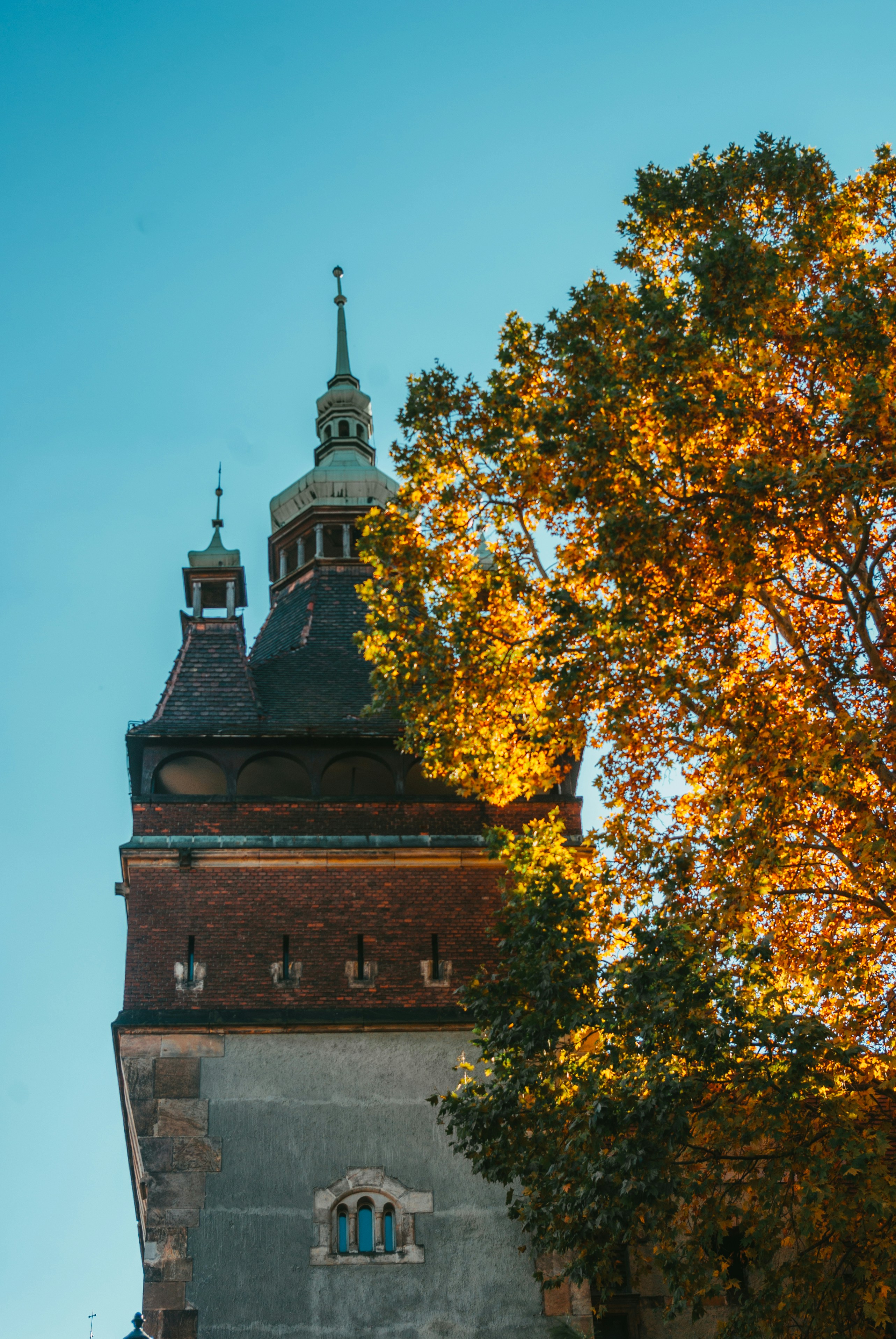 Photo by moonmoons_days