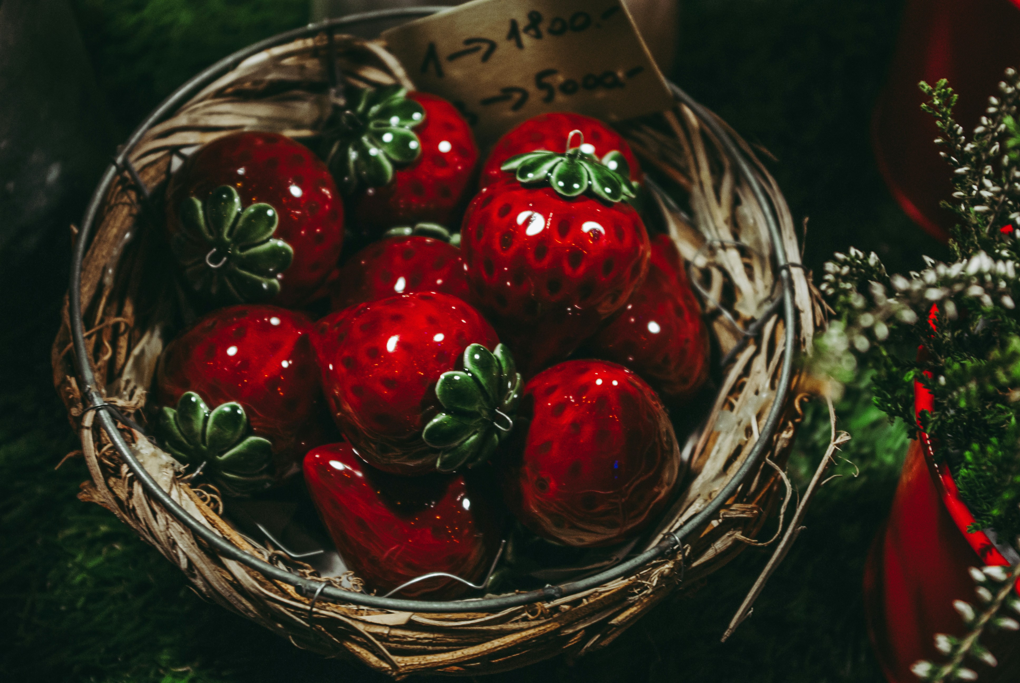 Photo by moonmoons_days