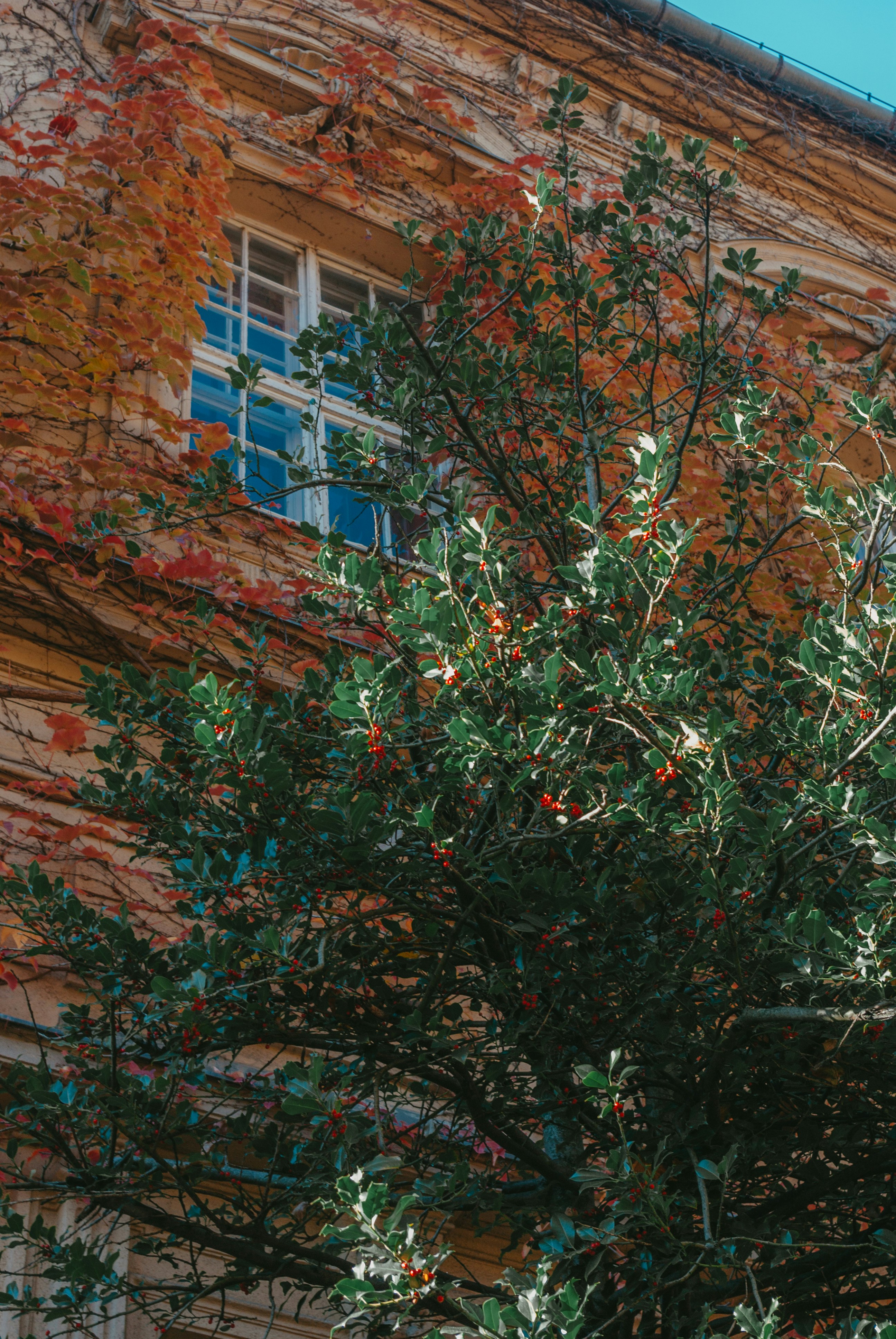 Photo by moonmoons_days