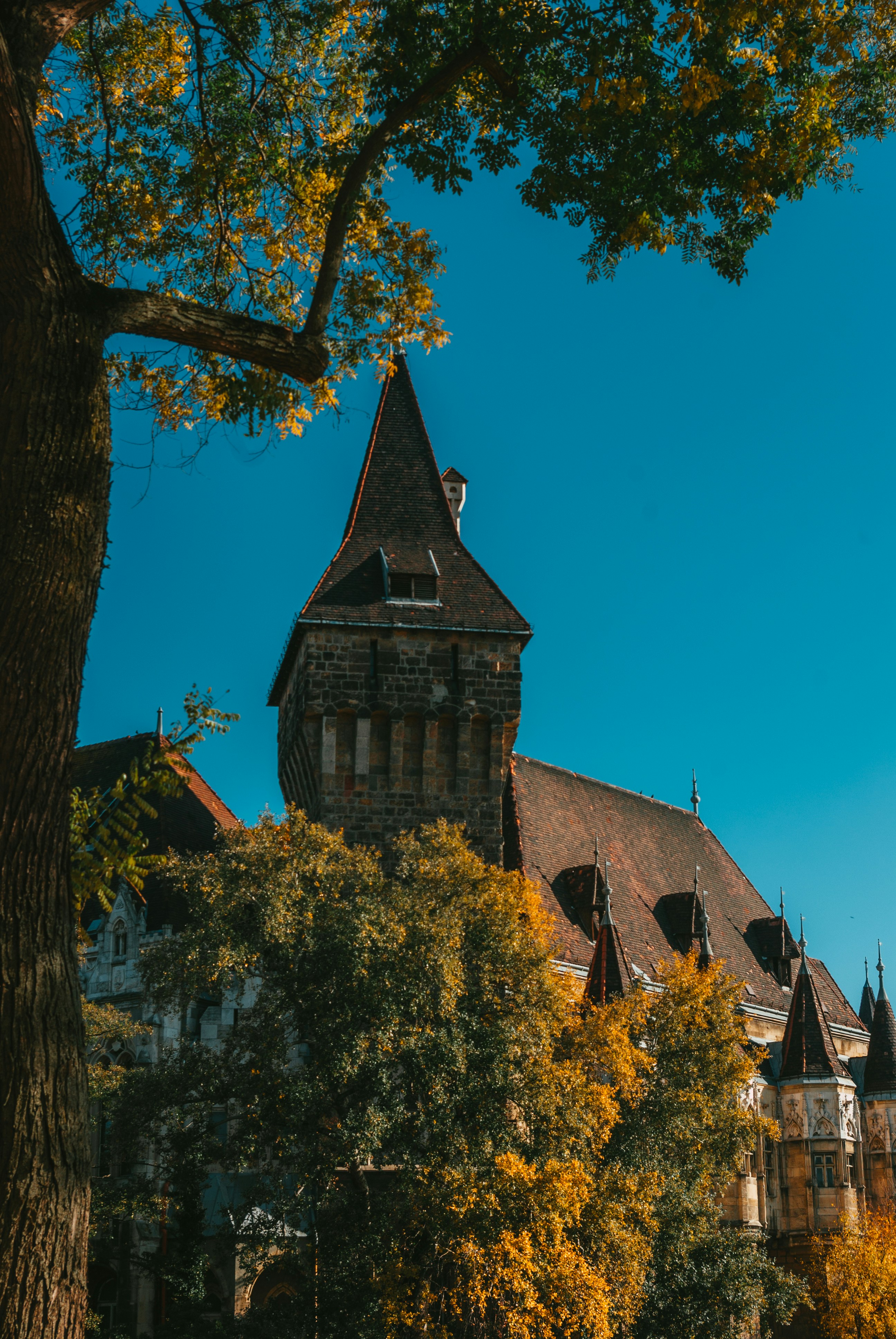 Photo by moonmoons_days