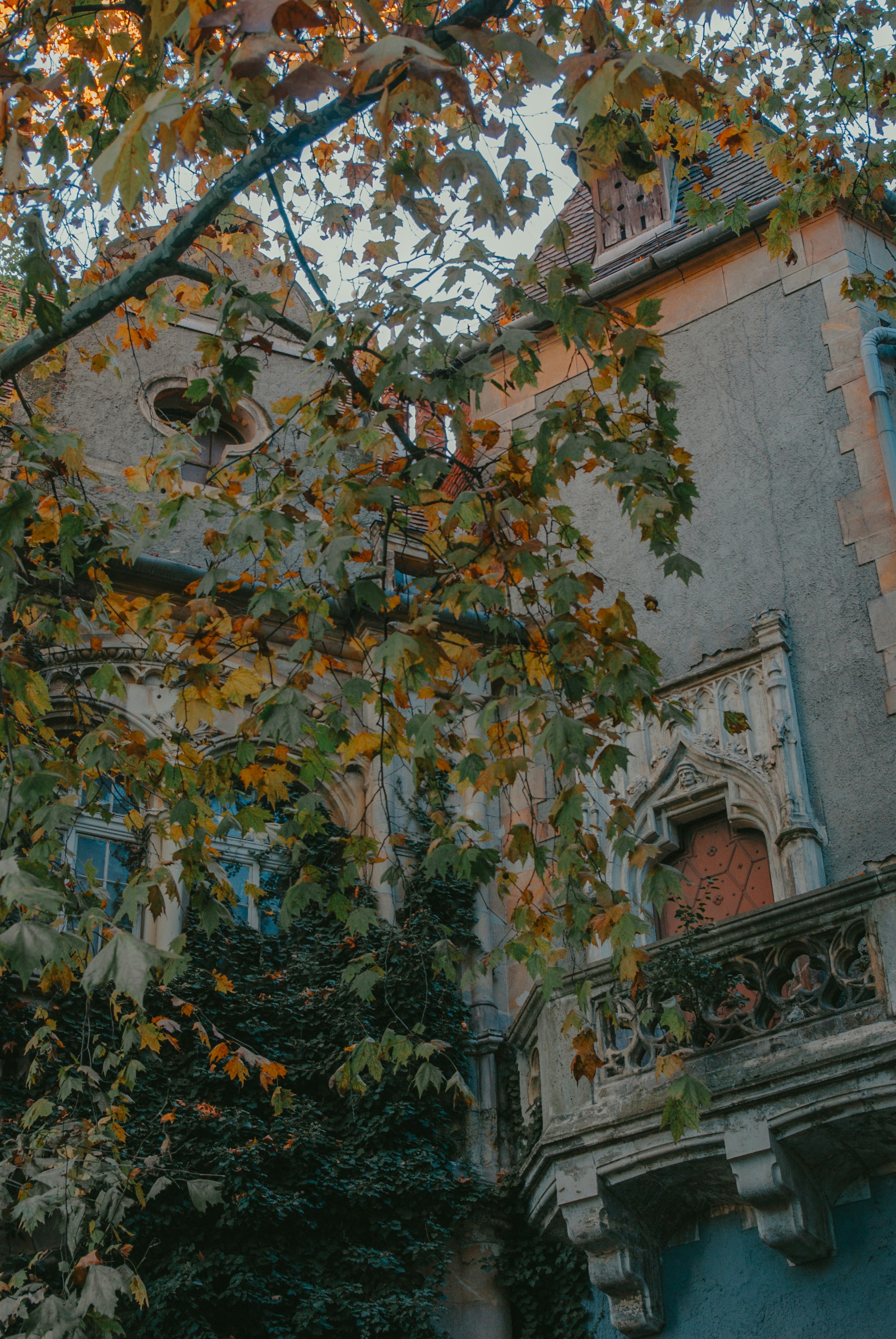 Photo by moonmoons_days