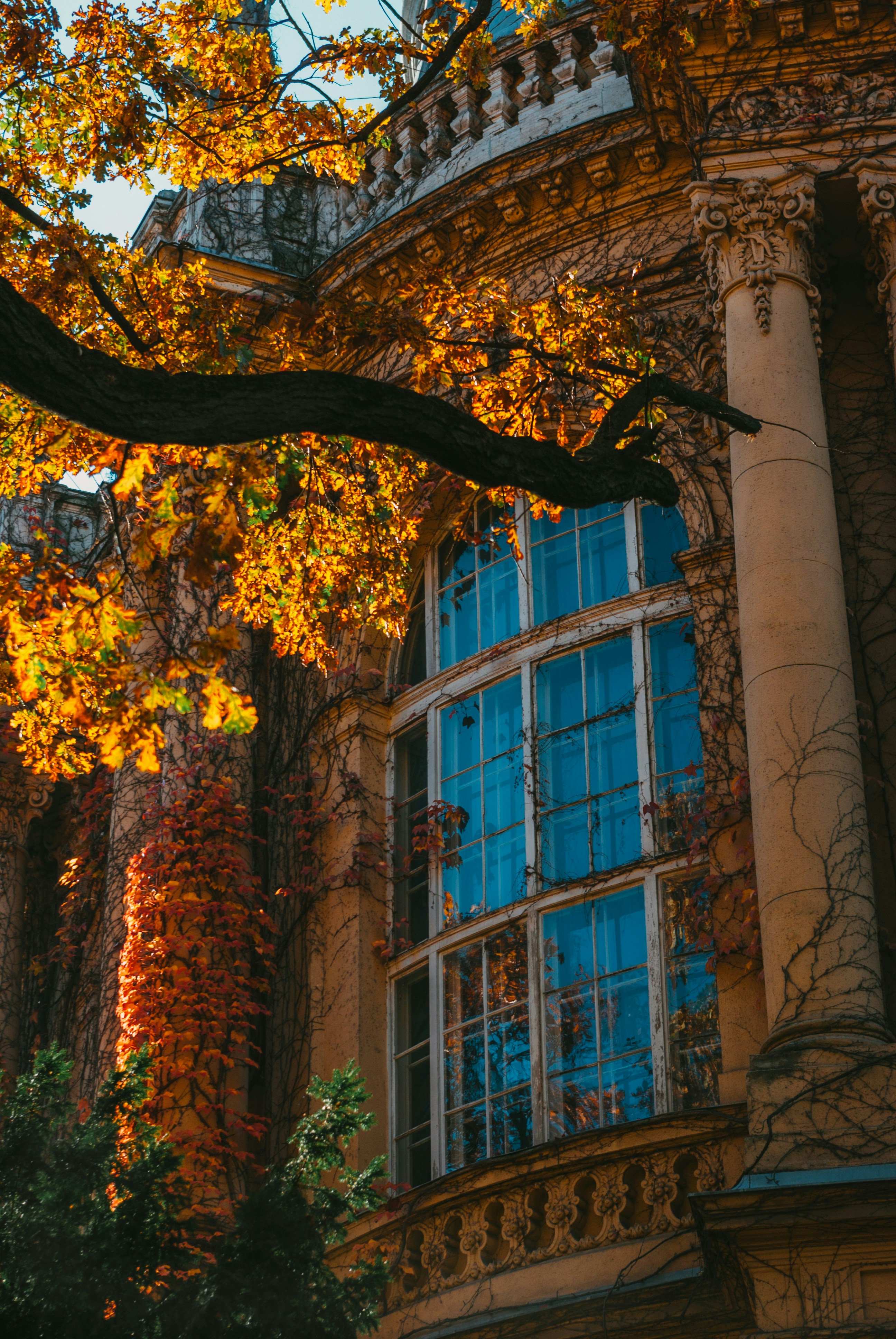 Photo by moonmoons_days