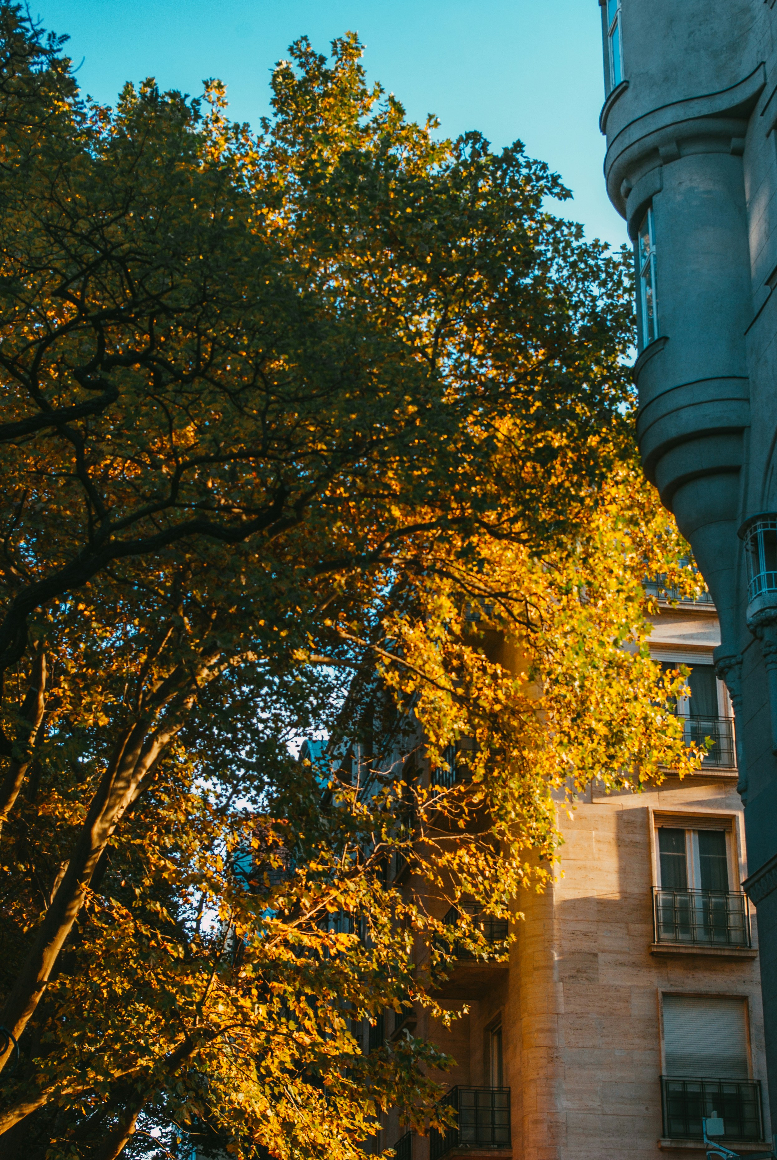 Photo by moonmoons_days