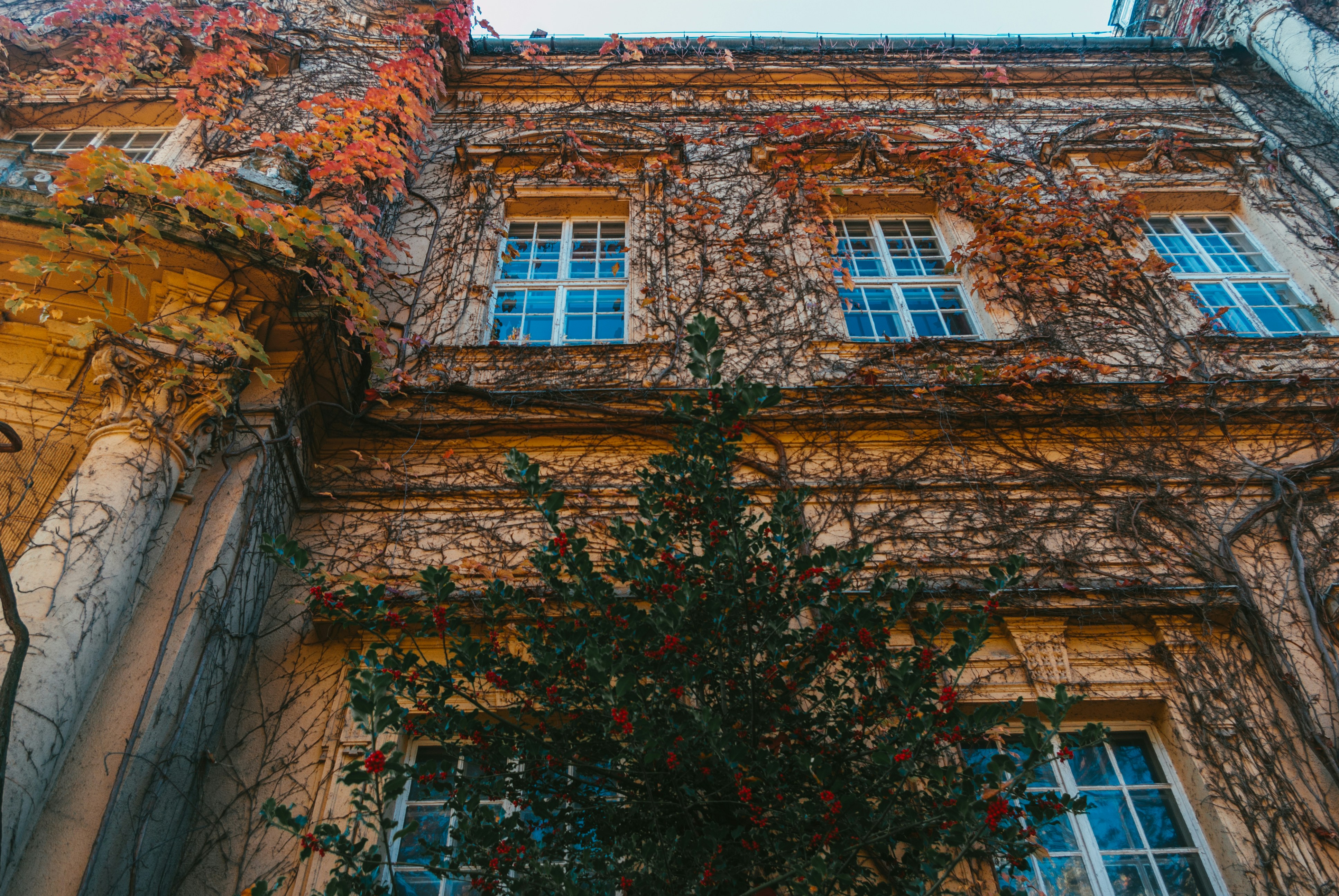 Photo by moonmoons_days