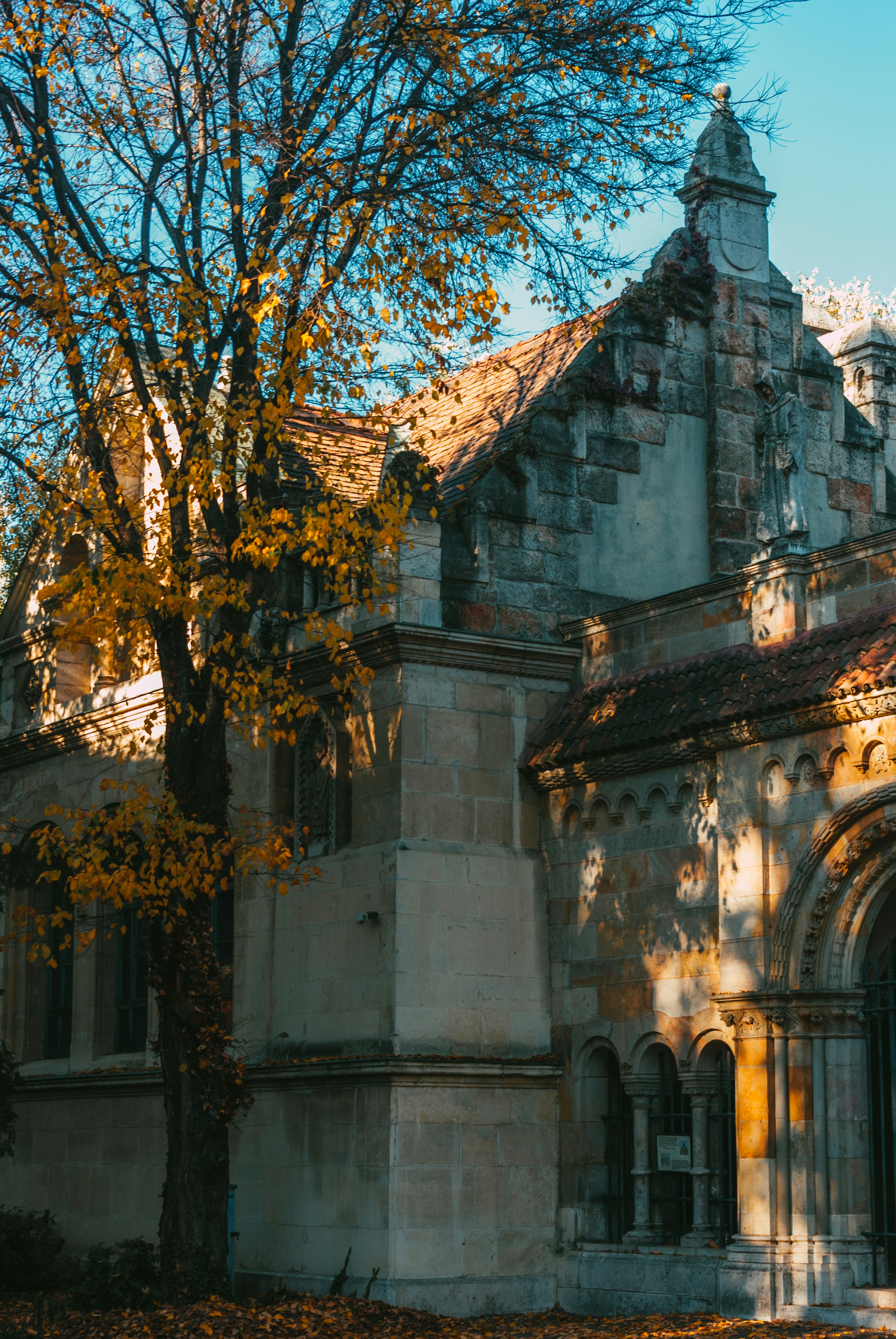 Photo by moonmoons_days