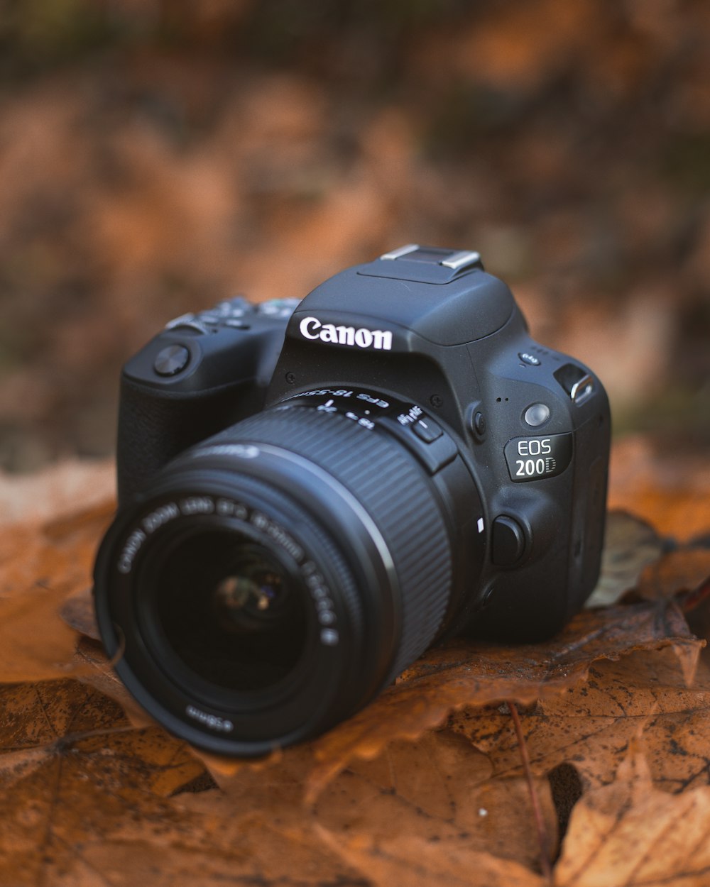 a camera sitting on top of a leaf covered ground