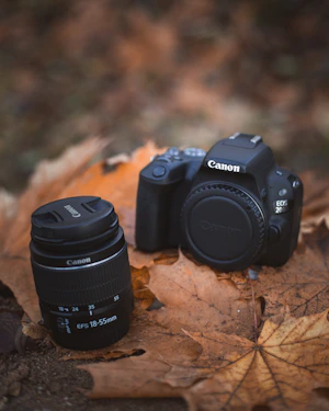 Canon EOS R50 レビュー