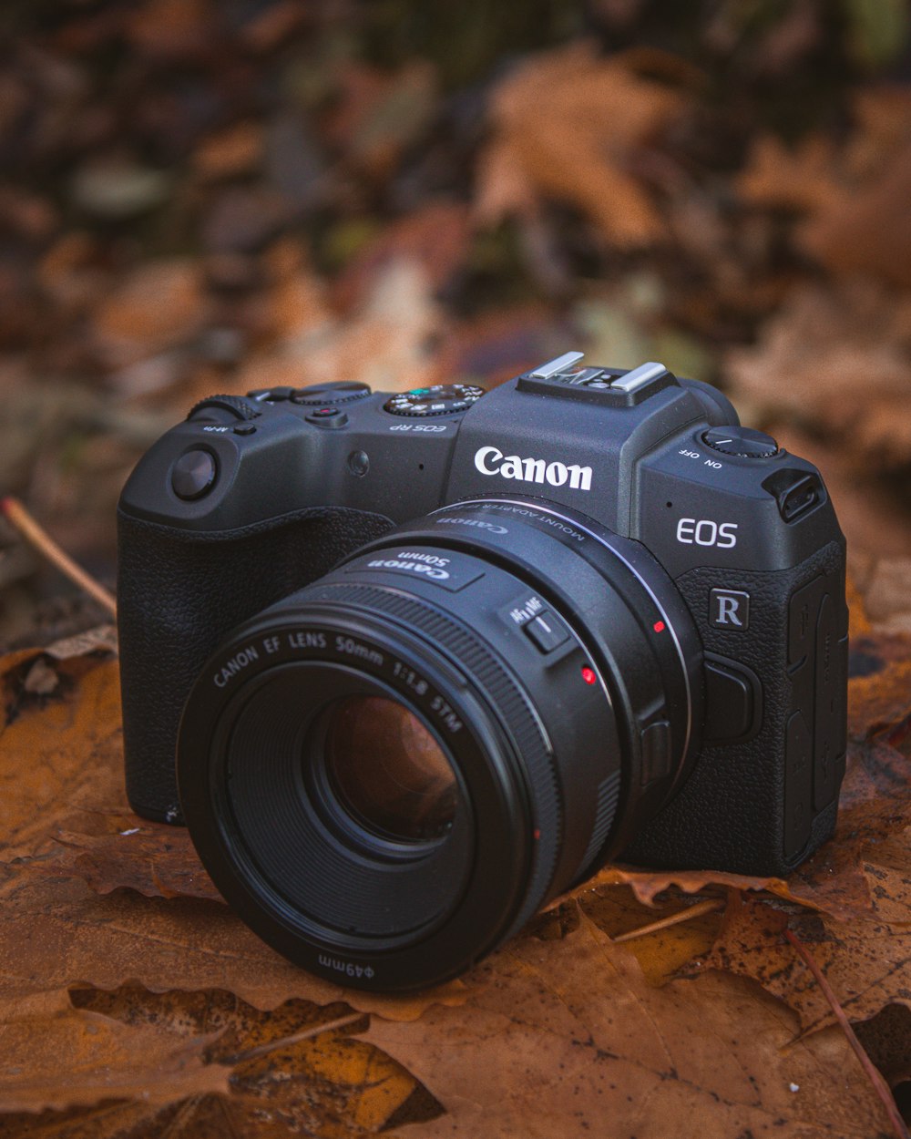 a camera sitting on top of a leaf covered ground