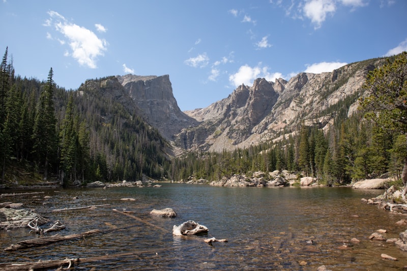 A clear alpine lake with rocky shallows and driftwood, ringed by pine forest below craggy grey peaks