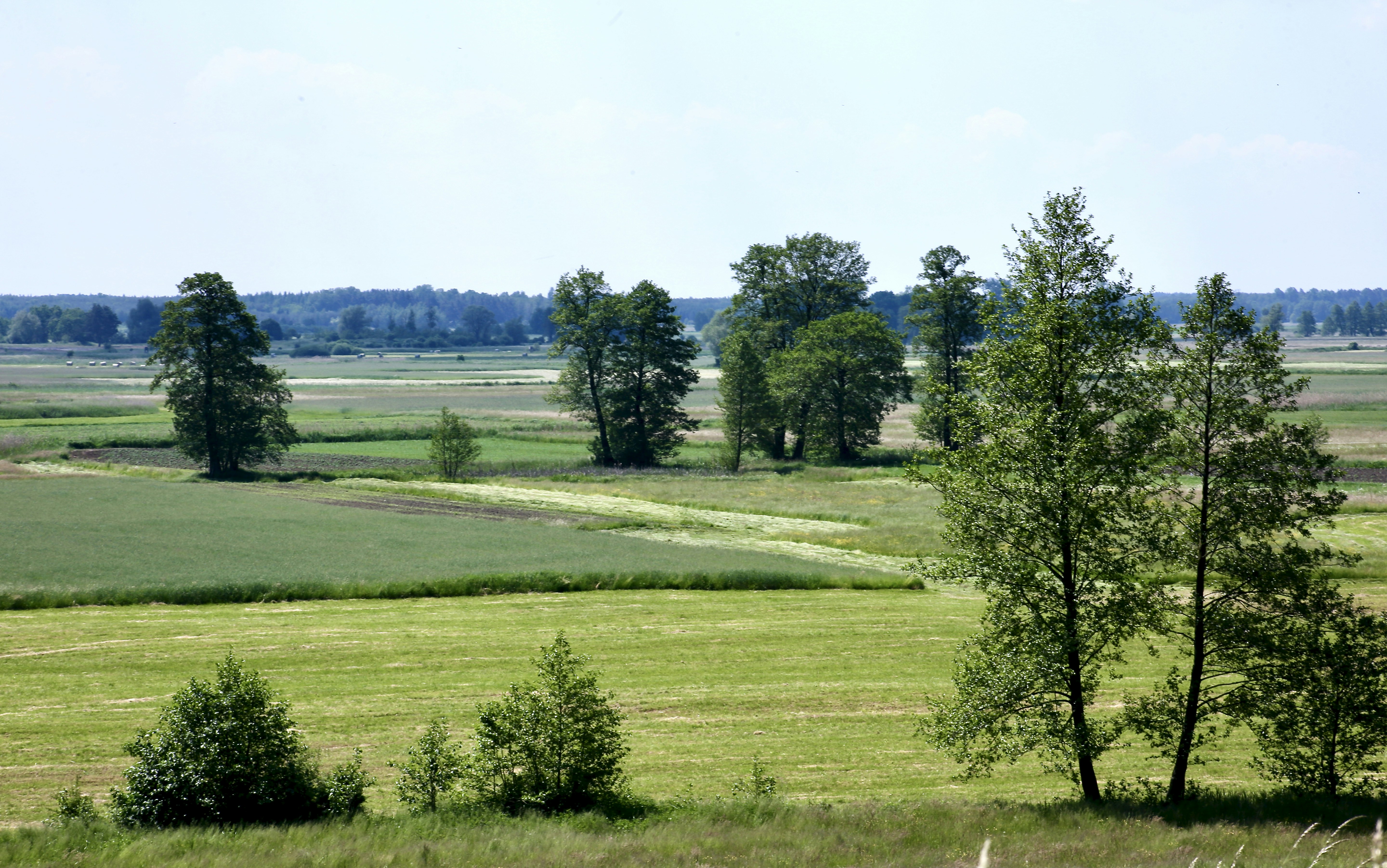 Photo by mk_digitalproducts