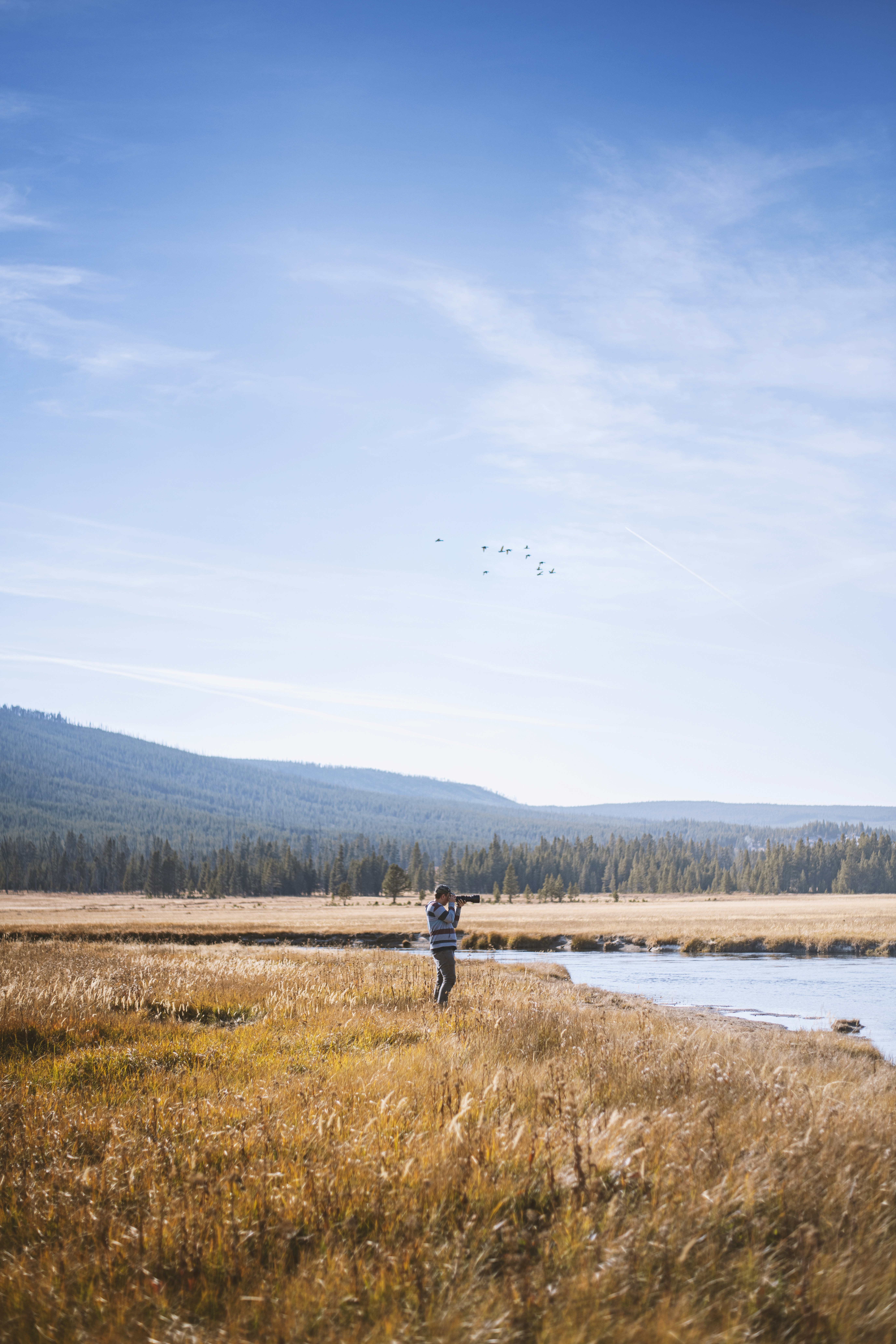 凧を飛ばす野原に立っている人