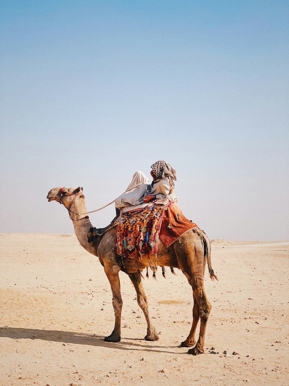 a man riding a camel in the desert