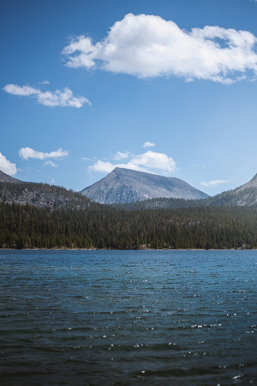 a large body of water with mountains in the background