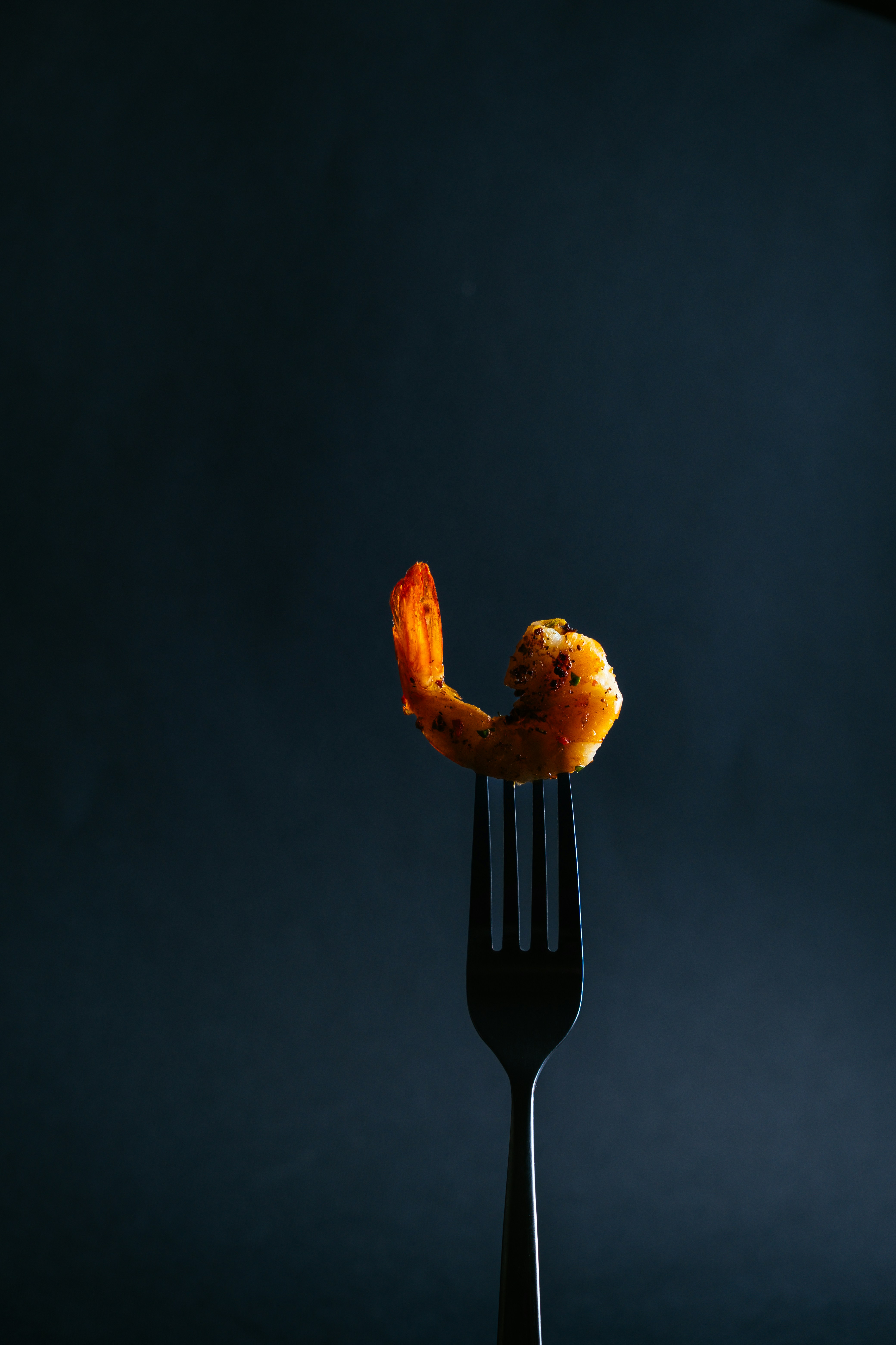 Shrimp