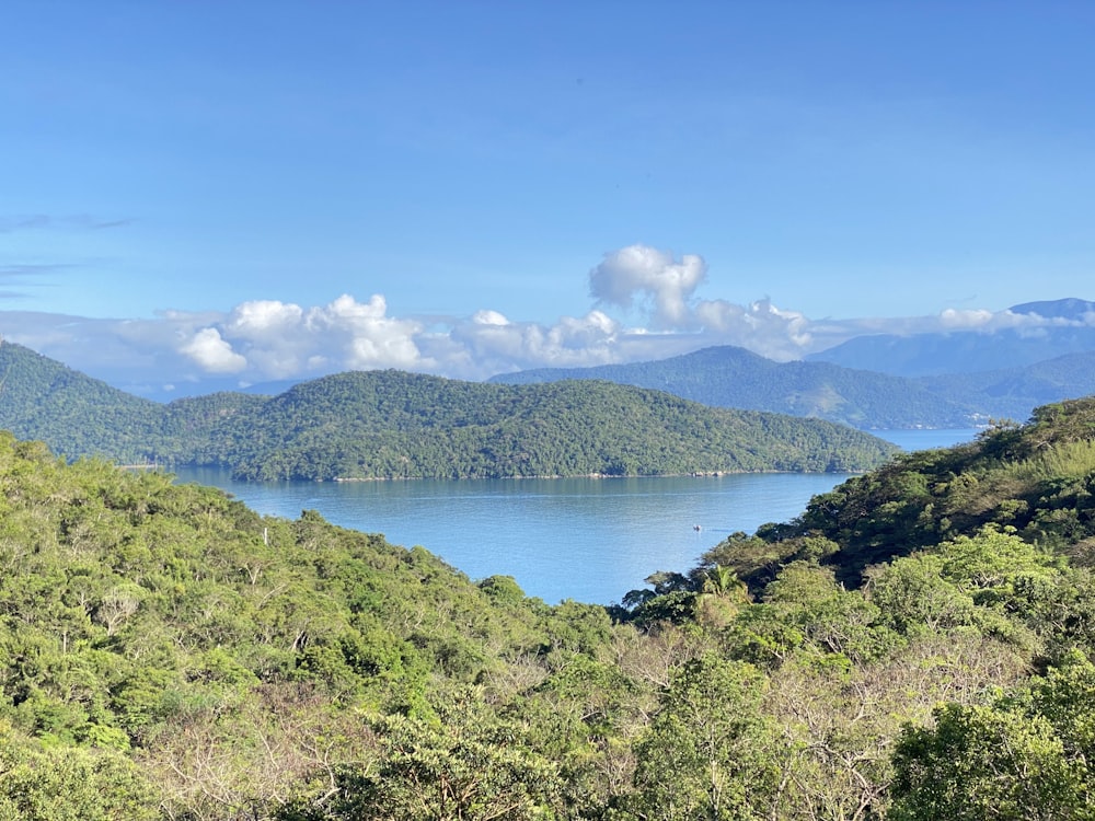 a scenic view of a lake surrounded by trees