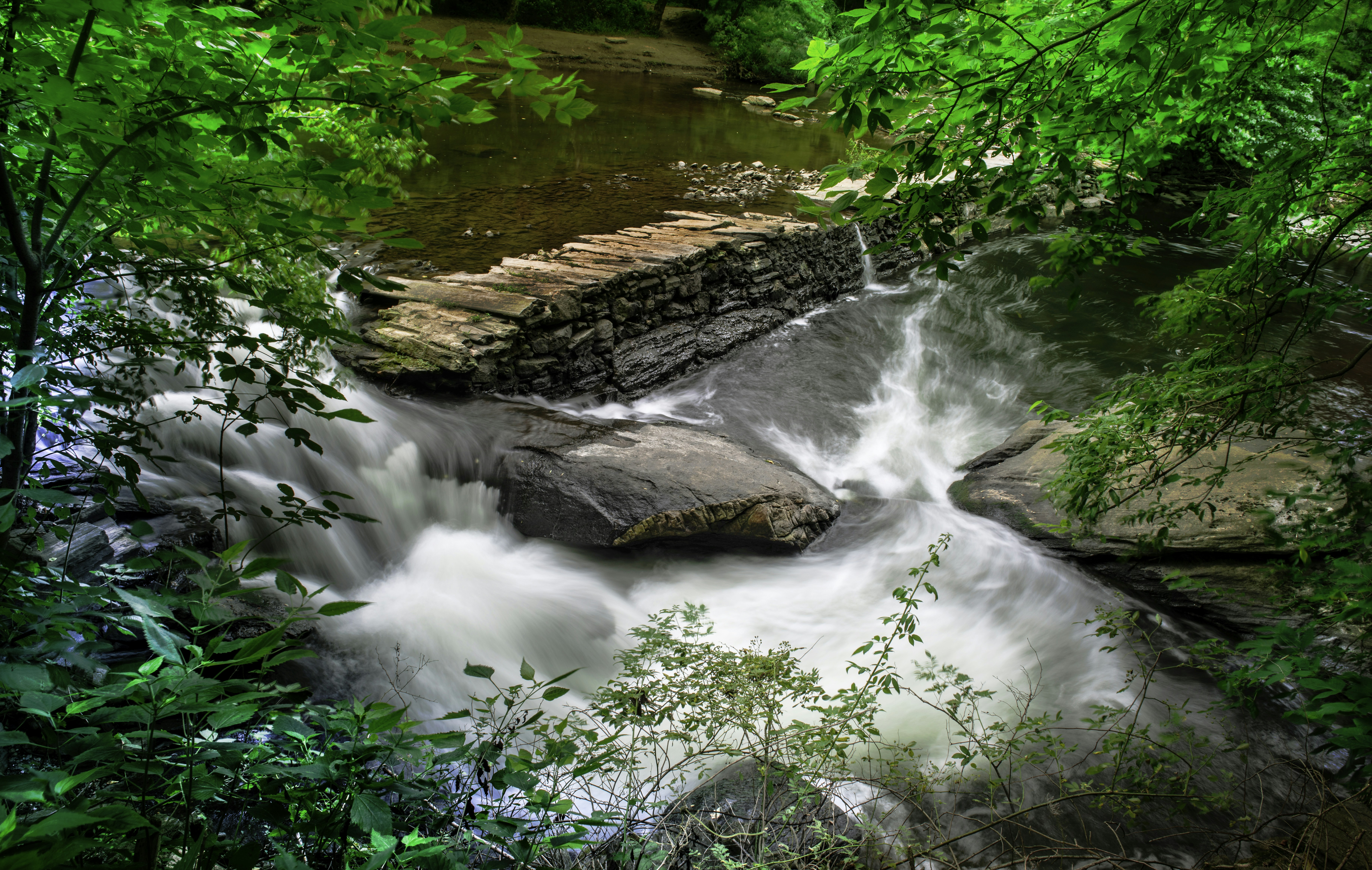 Photo by lreichenstein