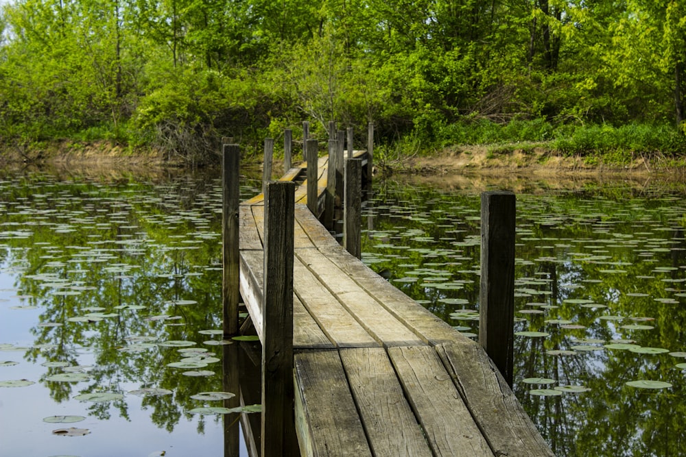 a wooden dock sitting in the middle of a lake