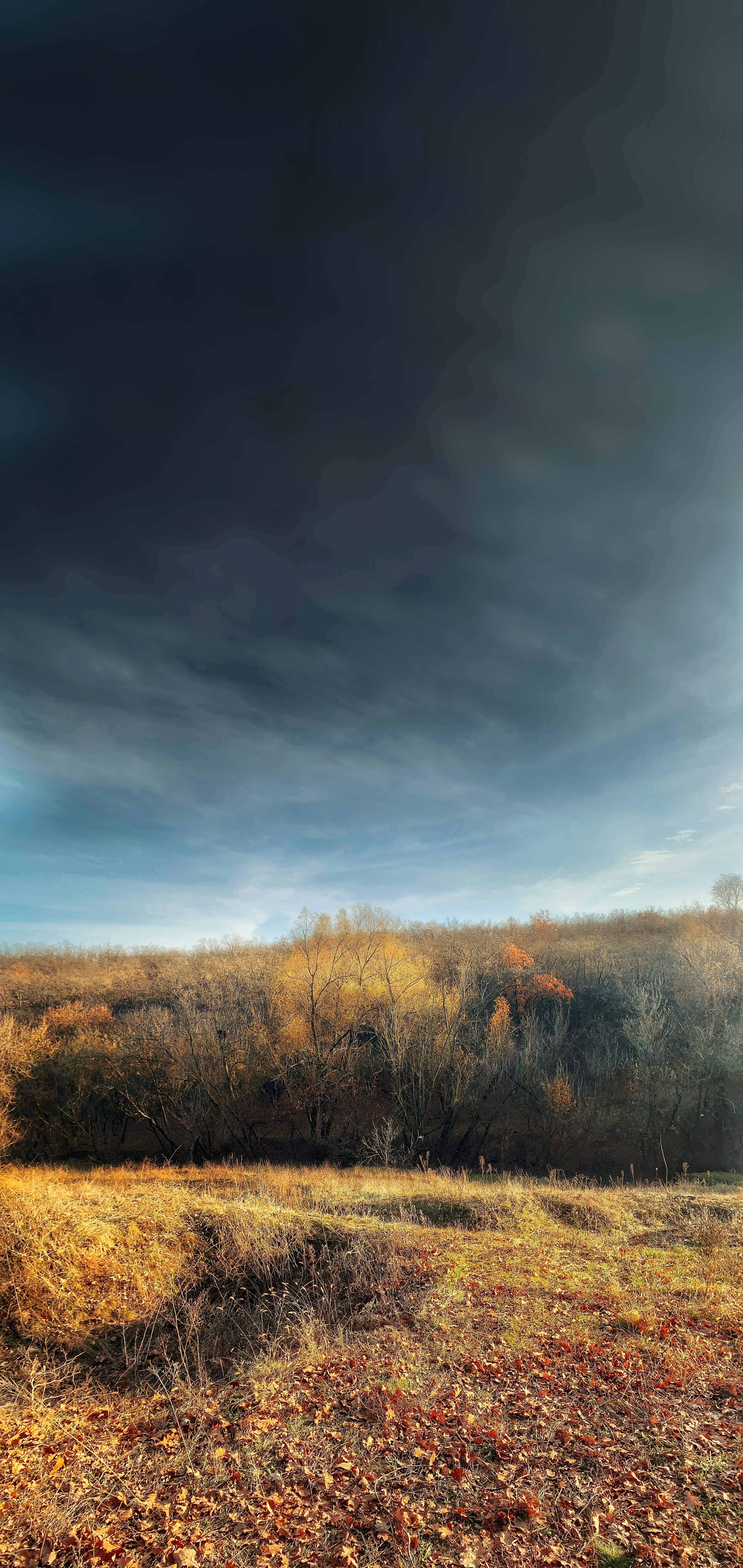Photo by arthur_oleynik