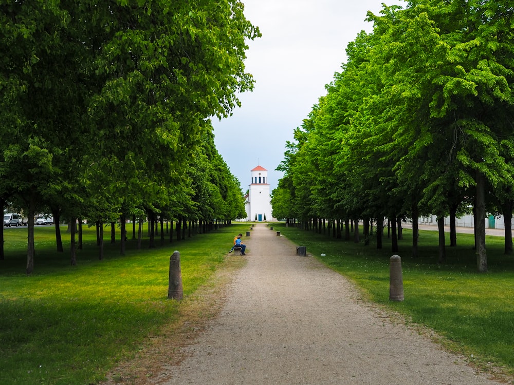 a path in the middle of a park lined with trees