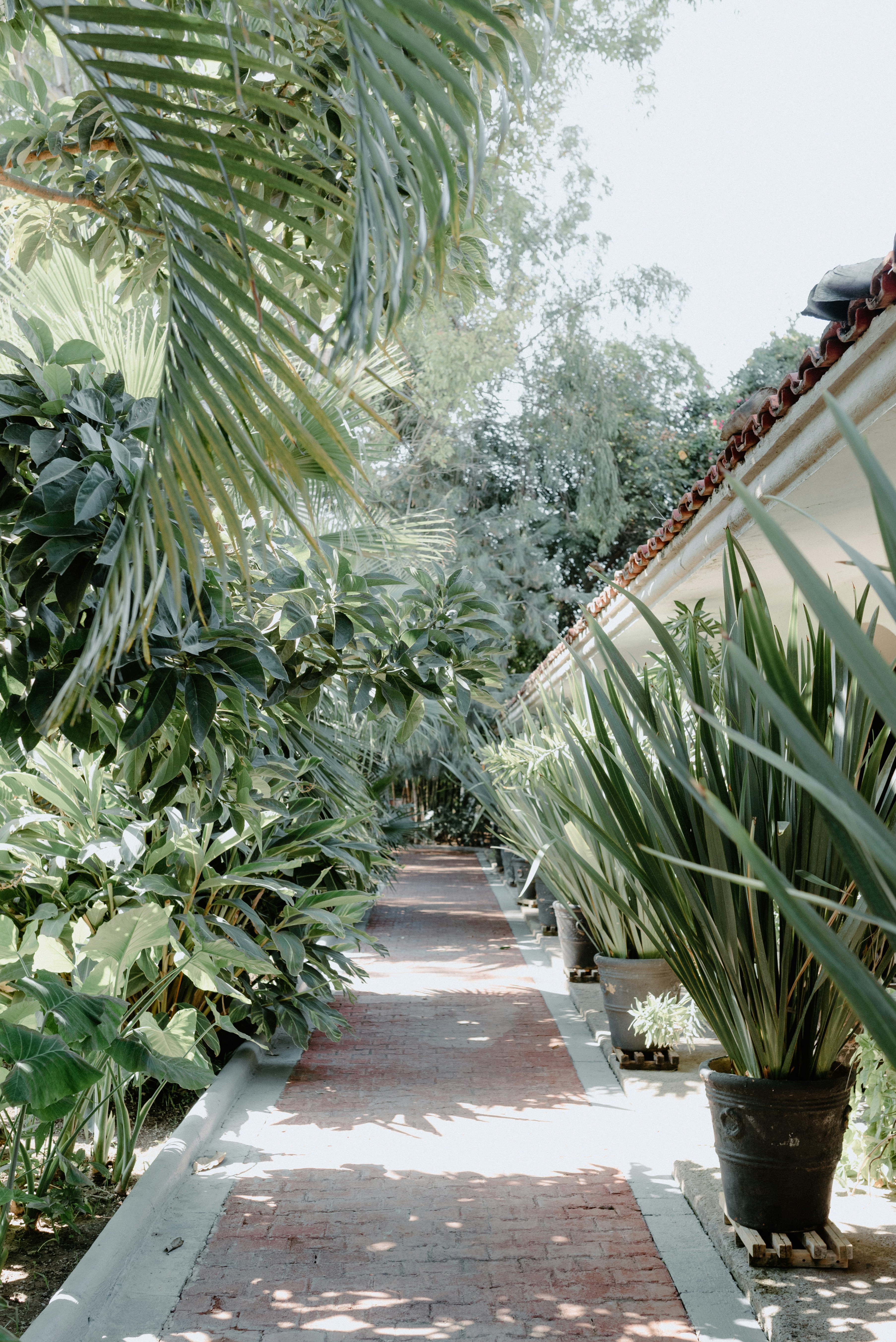 Photo by brunocervera