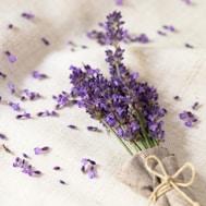 a bunch of lavender flowers laying on top of a table, natural herbs