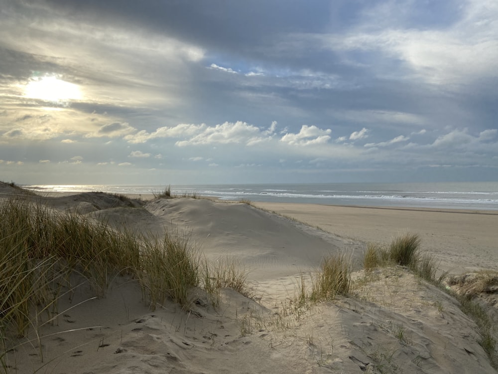 a sandy beach with grass growing out of the sand