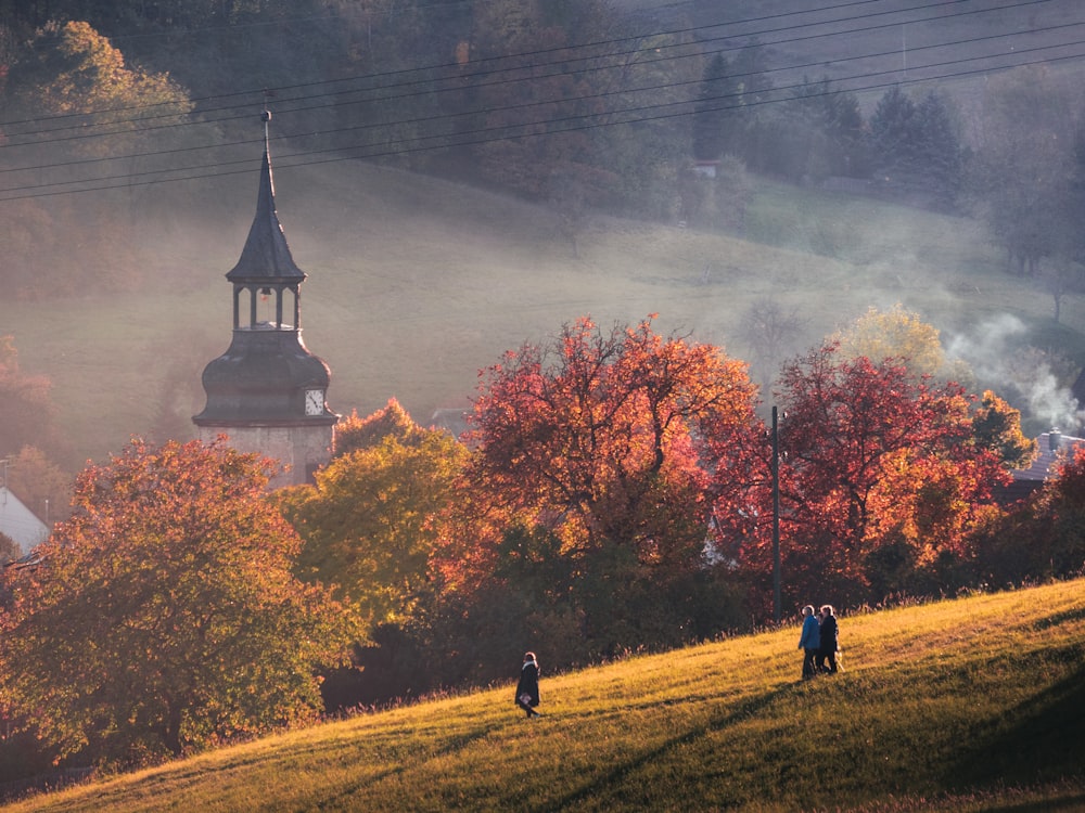 a group of people standing on top of a lush green hillside